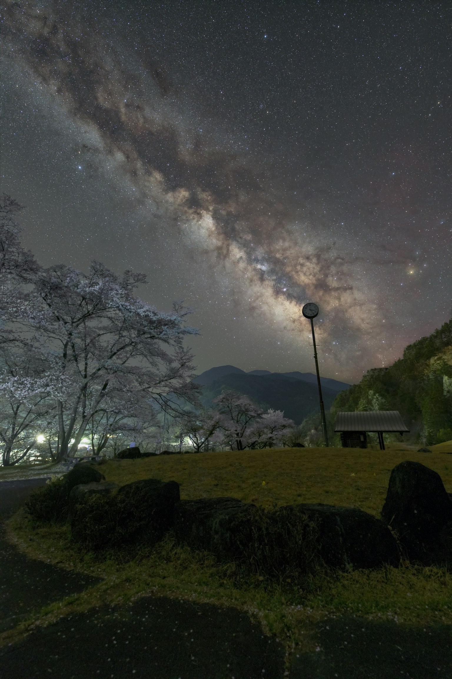 photo-ZUcXU8e2OeIHQps5s7YT-image