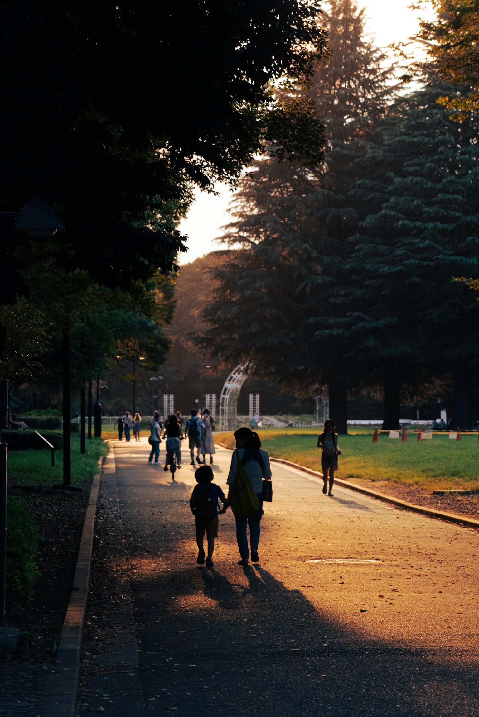 Silhouettes de personnes marchant avec des chiens le long d'un chemin de parc illuminé par le coucher de soleil