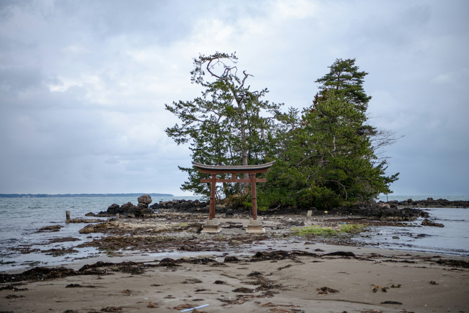 海边小岛上鸟居和树木的风景
