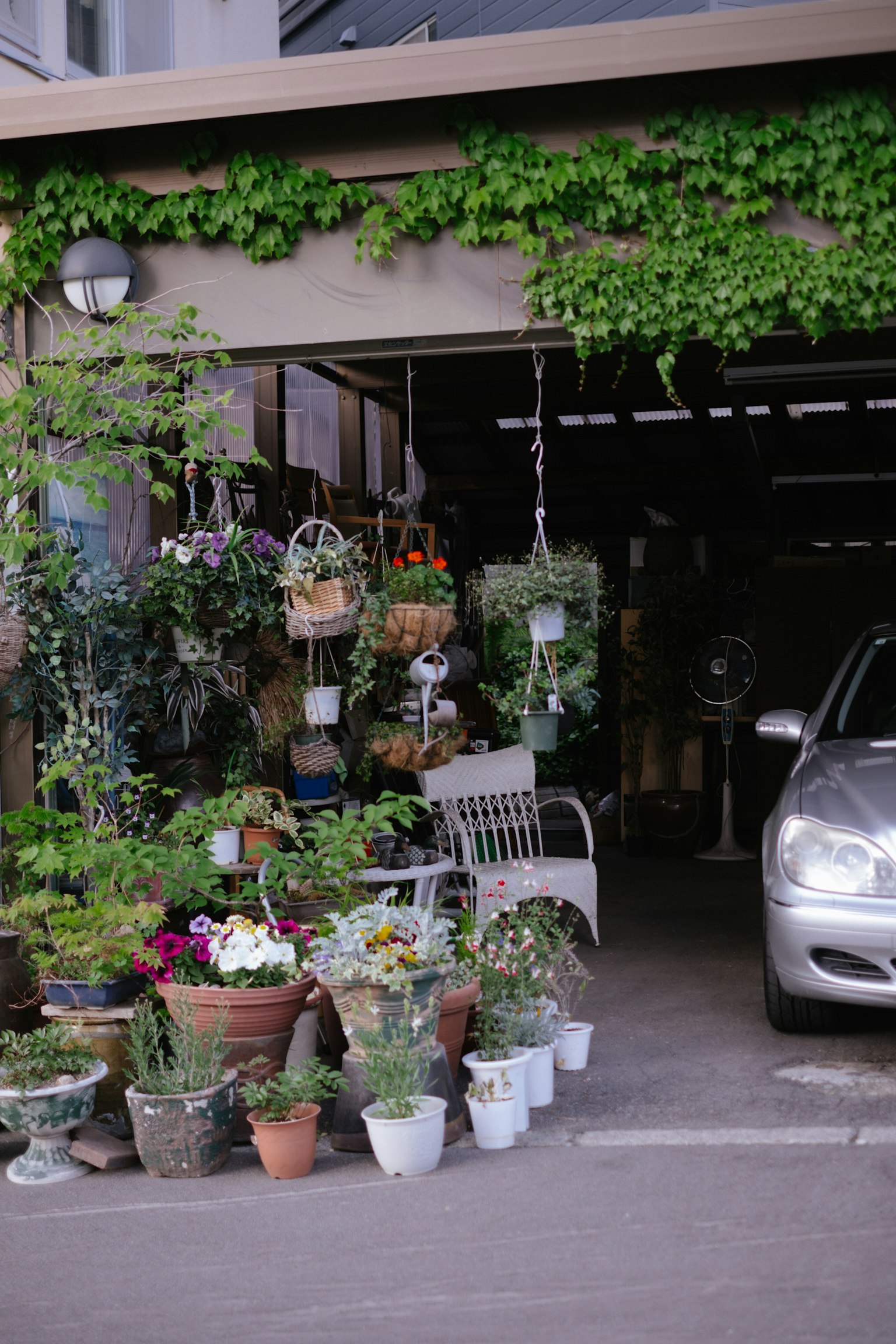 พืชและดอกไม้หลากหลายชนิดที่จัดแสดงอยู่หน้าที่จอดรถ