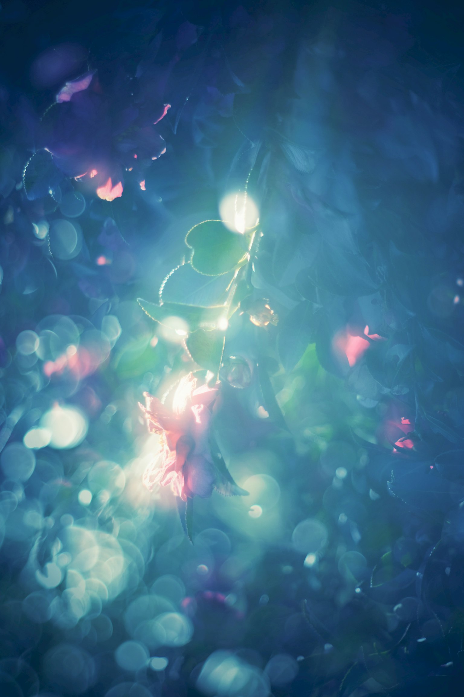 青い背景に光の粒子と色とりどりのぼかしが見える抽象的な画像