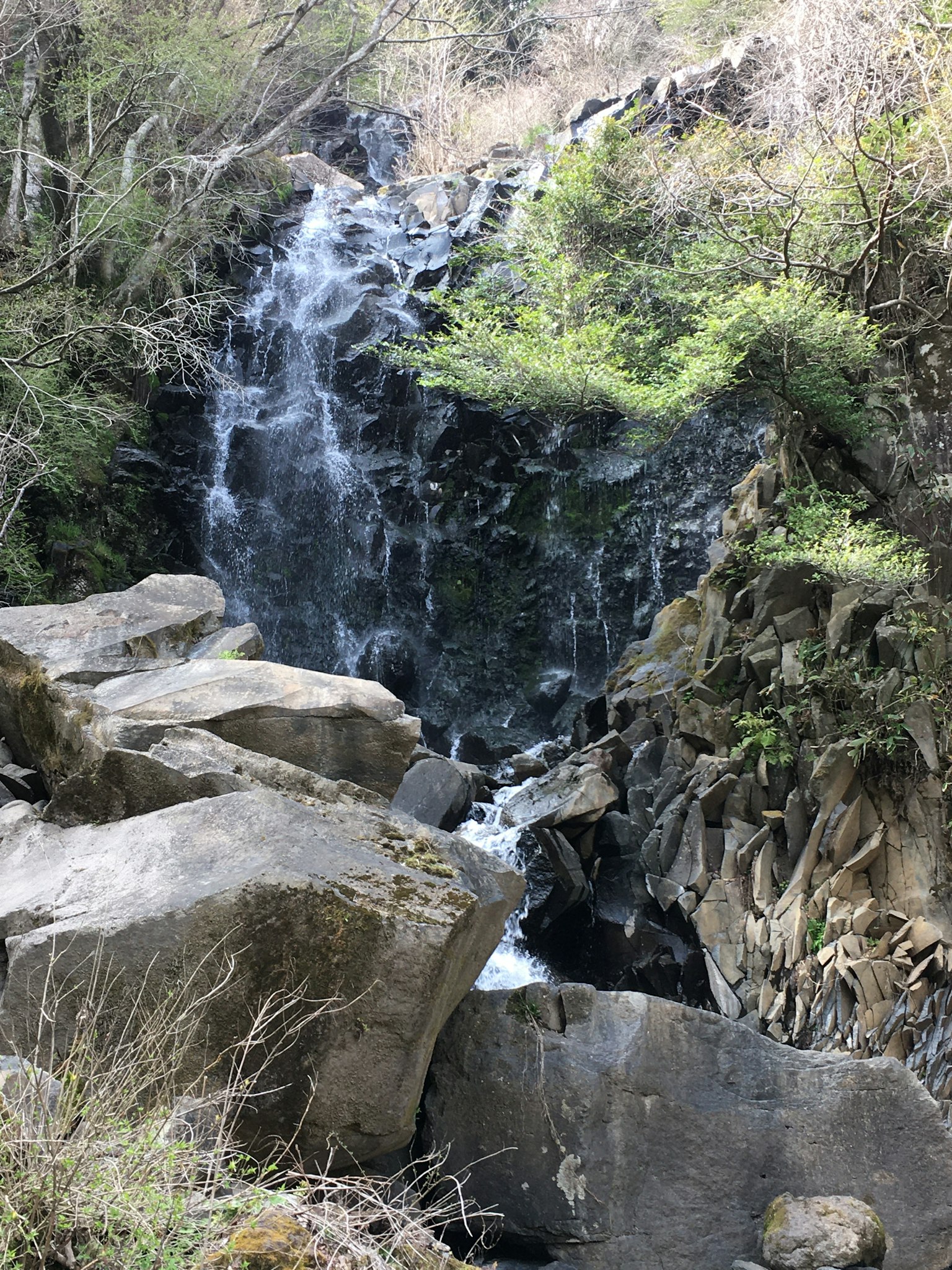 Ein schöner Wasserfall, der zwischen Felsen fließt, umgeben von Grün