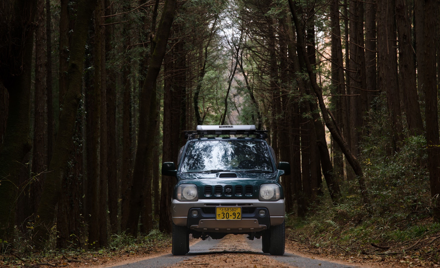 SUV vert roulant sur une route à travers une forêt