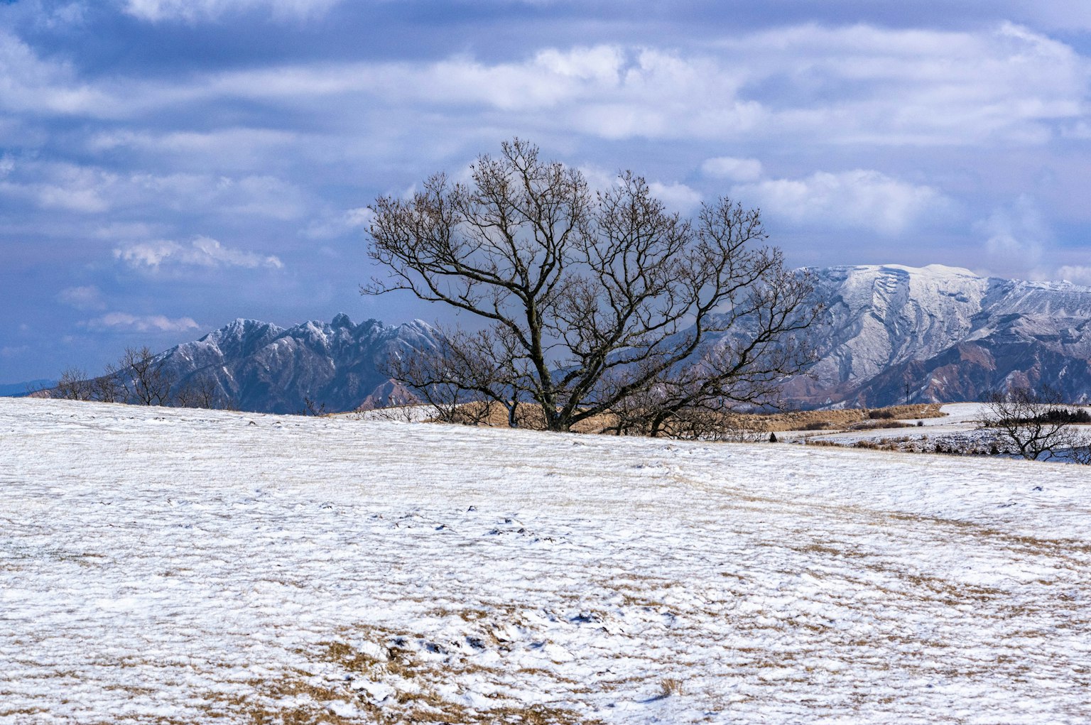 Schneebedeckte Landschaft mit einem einsamen Baum und Bergen