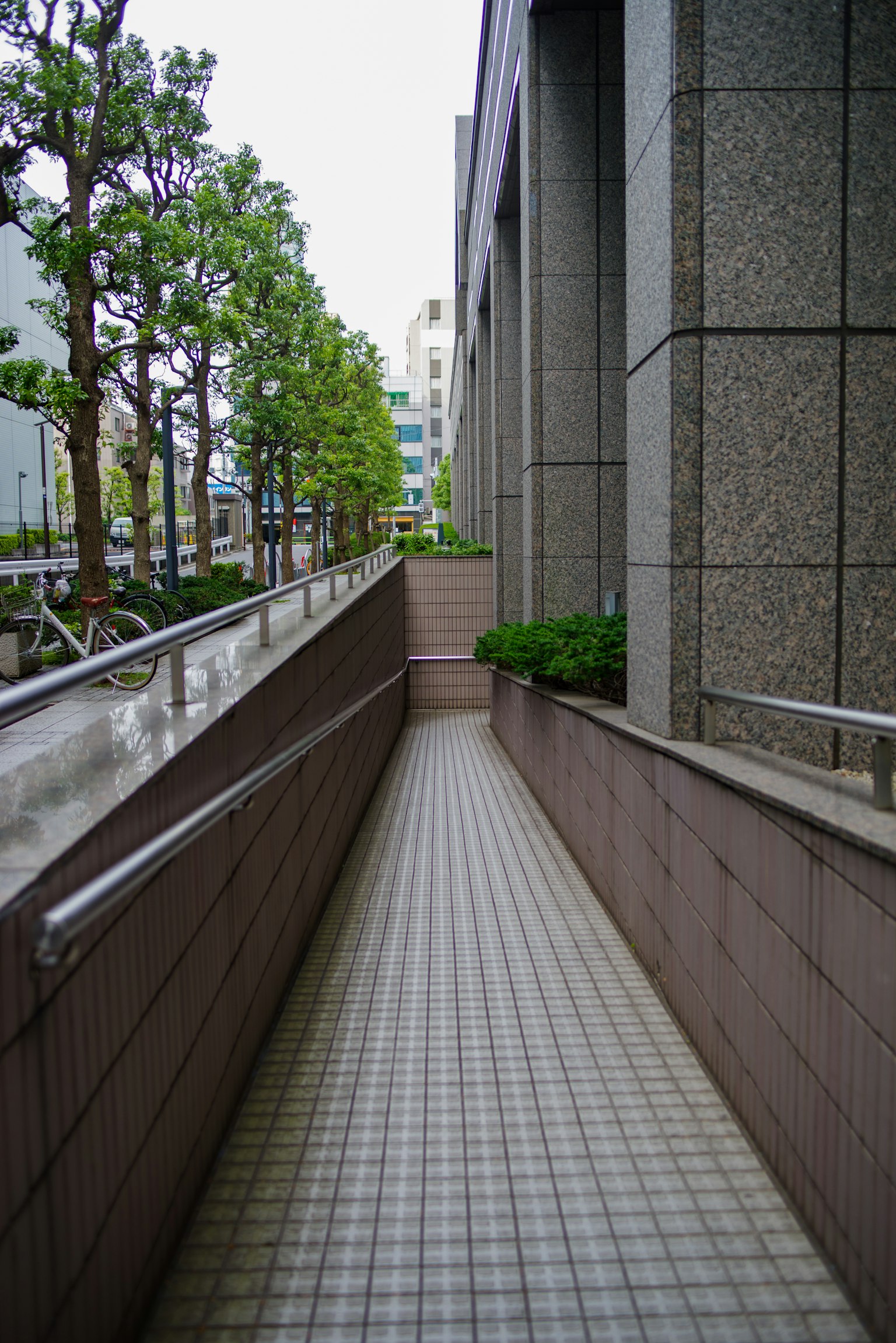 Ein Gehweg gesäumt von grünen Bäumen und modernen Gebäuden