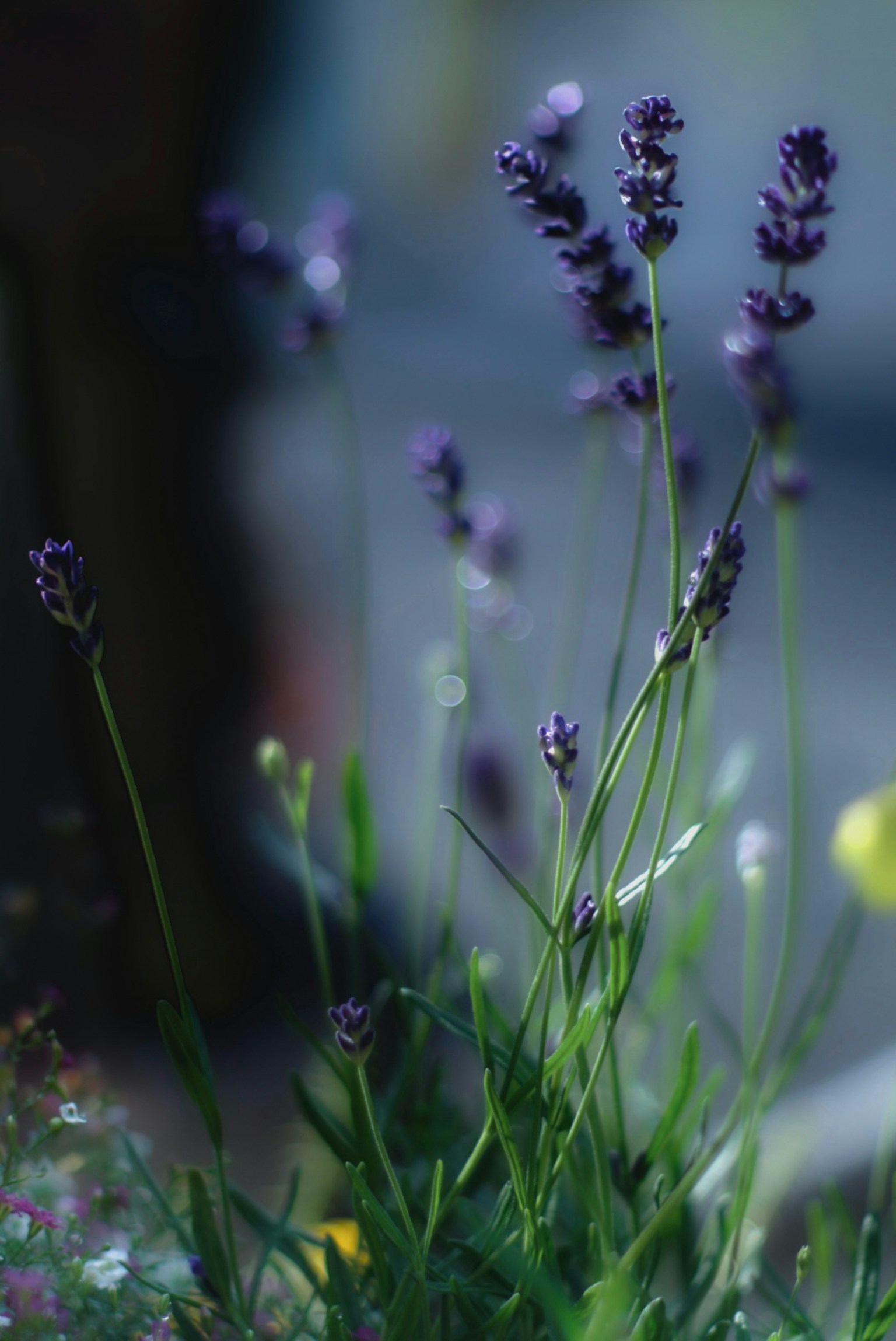 photo-ZZnzKknFrXnXHKnfQwRE-image