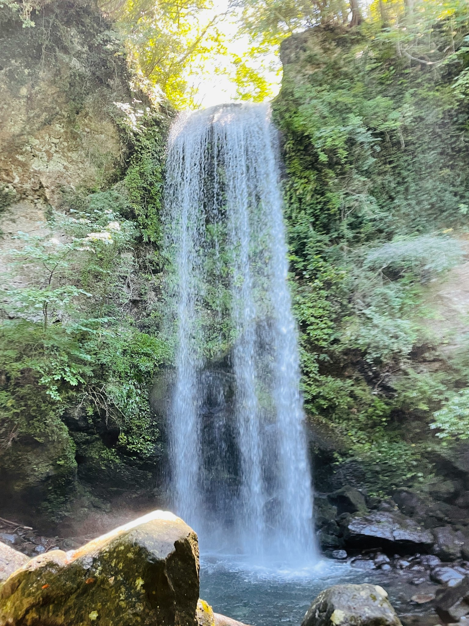 A waterfall cascading through lush greenery