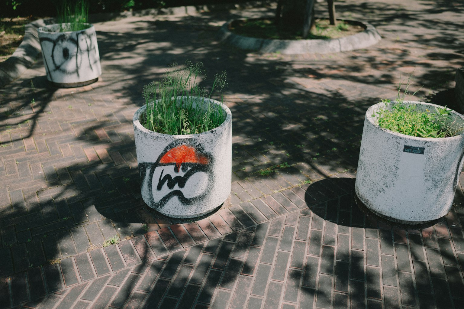 Bacs à fleurs en béton avec graffiti et plantes vertes