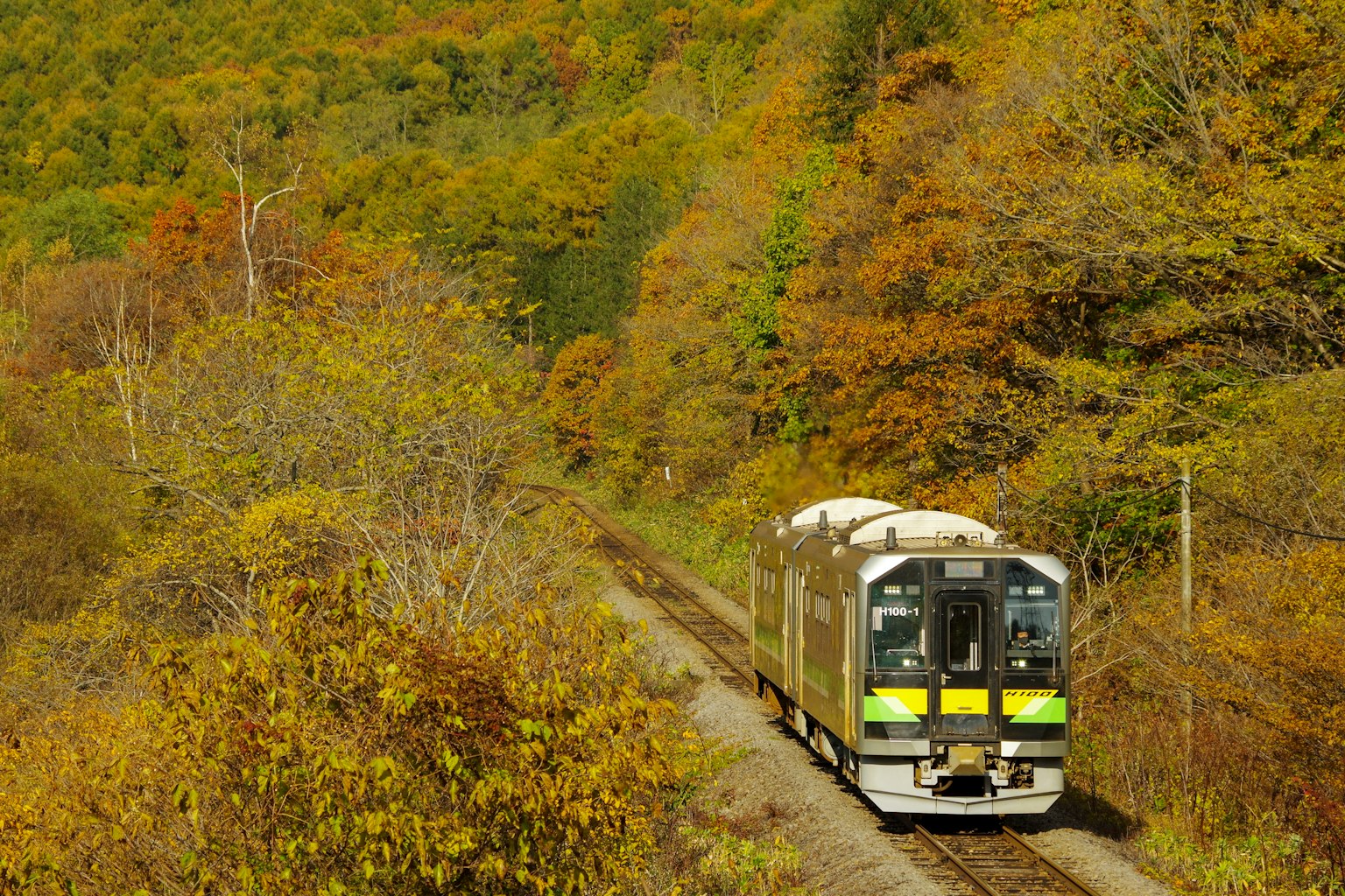 Train traveling through autumn landscape with colorful trees