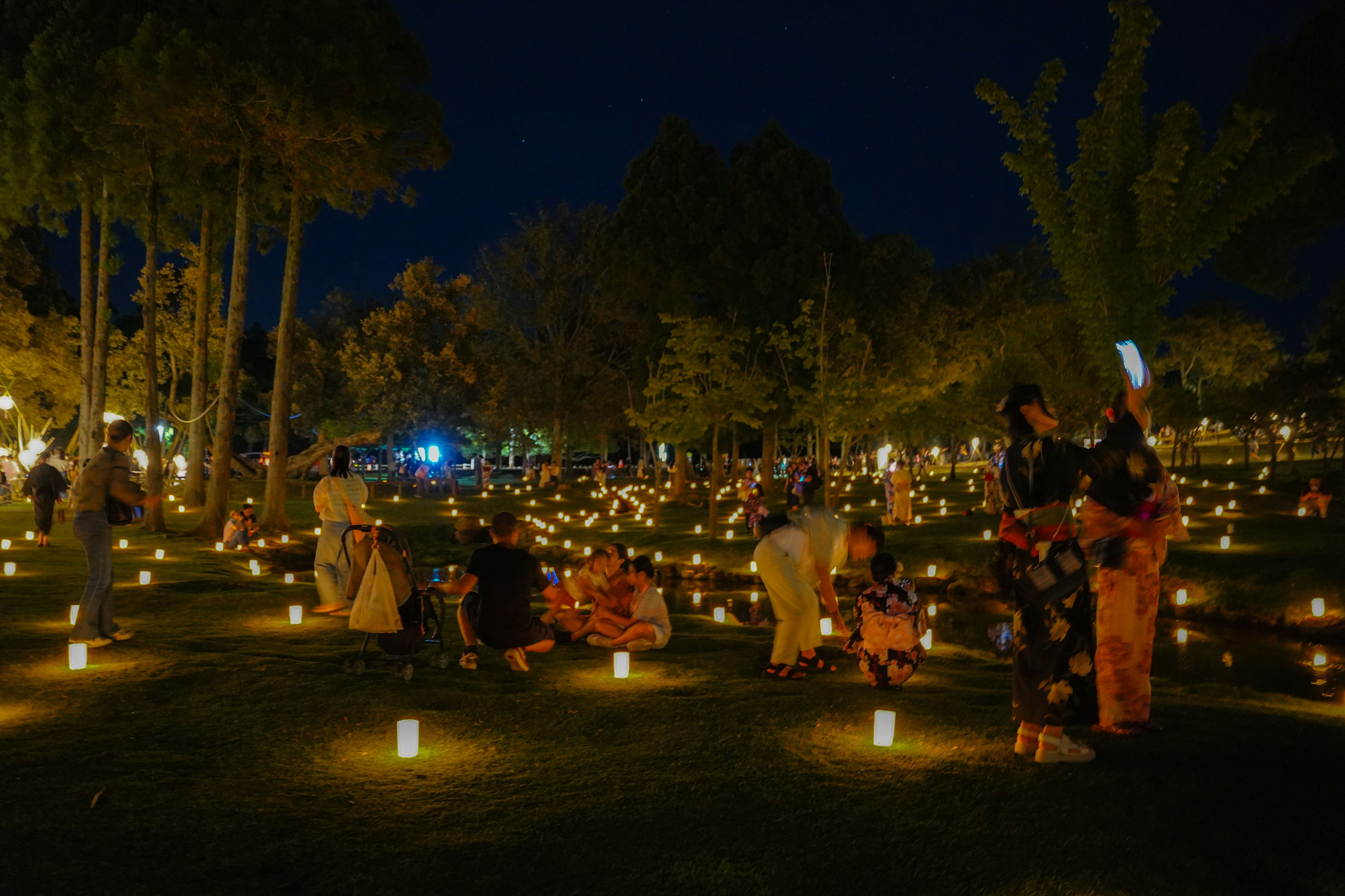 奈良燈花会の灯りが並ぶ夜の会場
