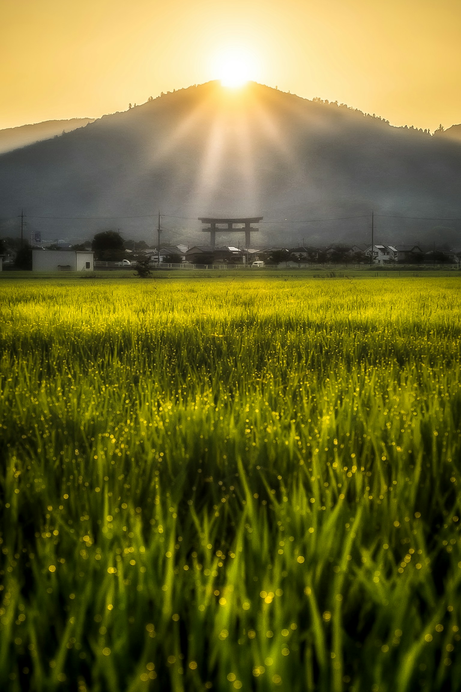 photo-ZbxF2ne6ybyizDIou3DY-image