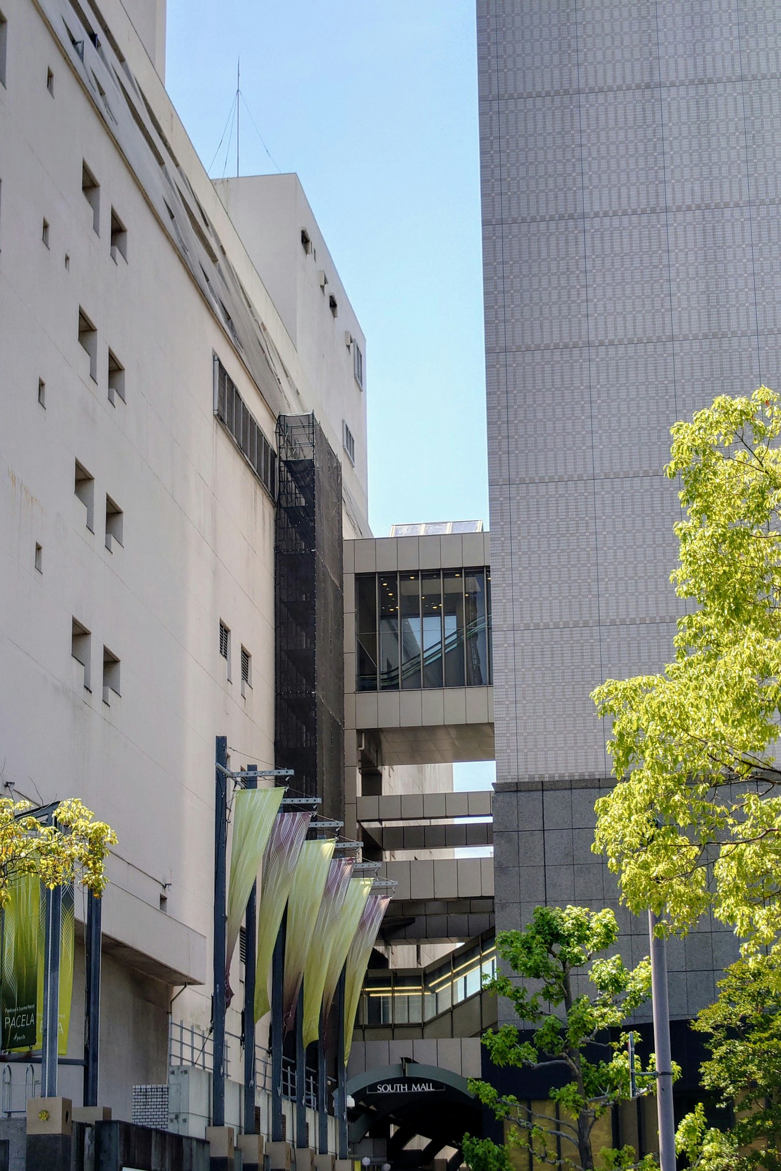 Urban landscape featuring modern architecture and green trees