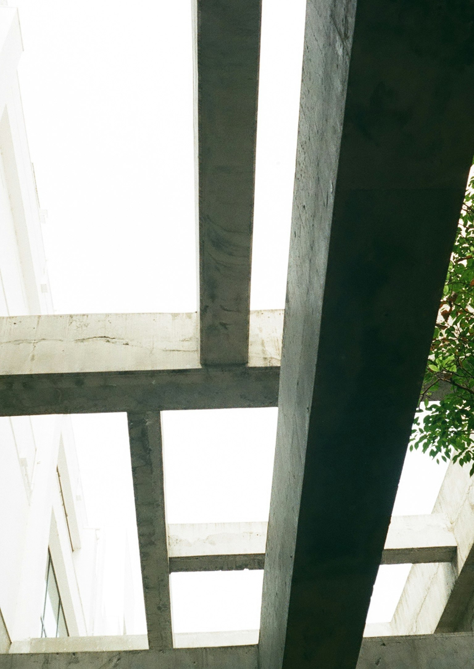 Interior view featuring concrete beams and greenery from a building