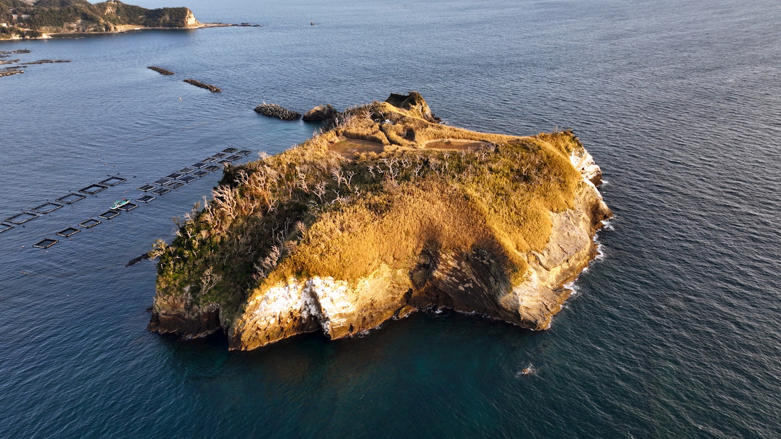 Luftaufnahme einer kleinen Insel umgeben von Wasser mit grüner und brauner Vegetation und weißen Felsen