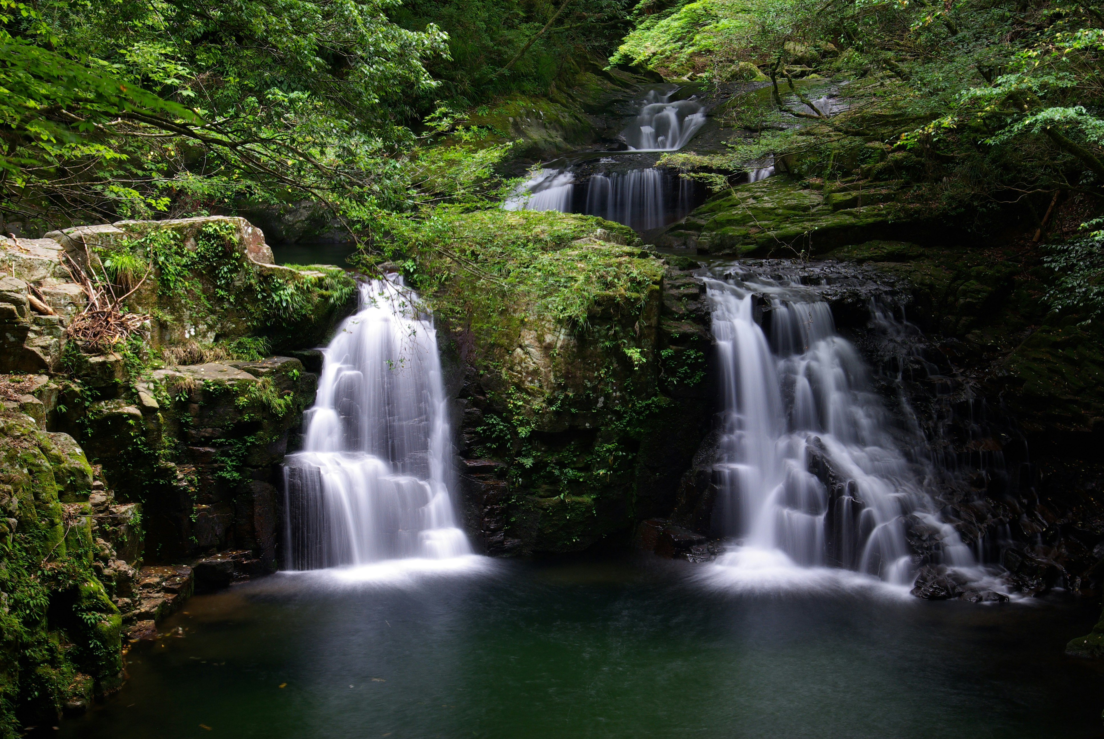 緑の苔に覆われた滝が流れ落ちる渓谷の風景