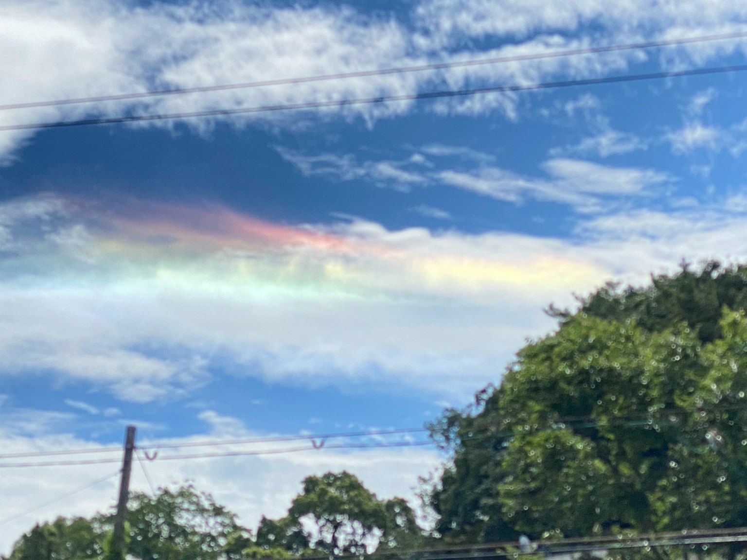 เมฆสีสันสดใสที่ทอดยาวข้ามท้องฟ้าสีฟ้าพร้อมต้นไม้ด้านล่าง
