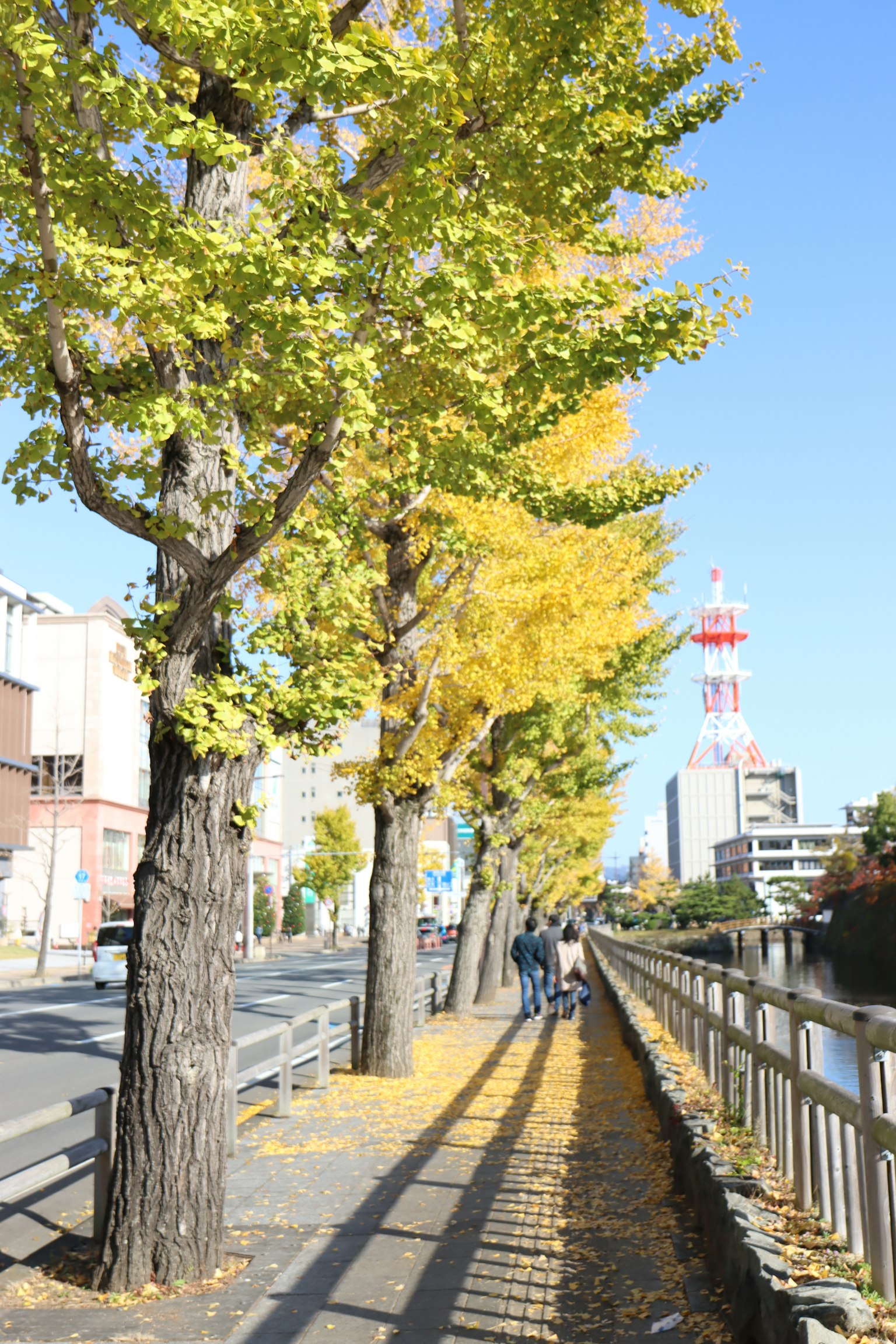 Tree-lined path with yellow leaves and a red tower in the background