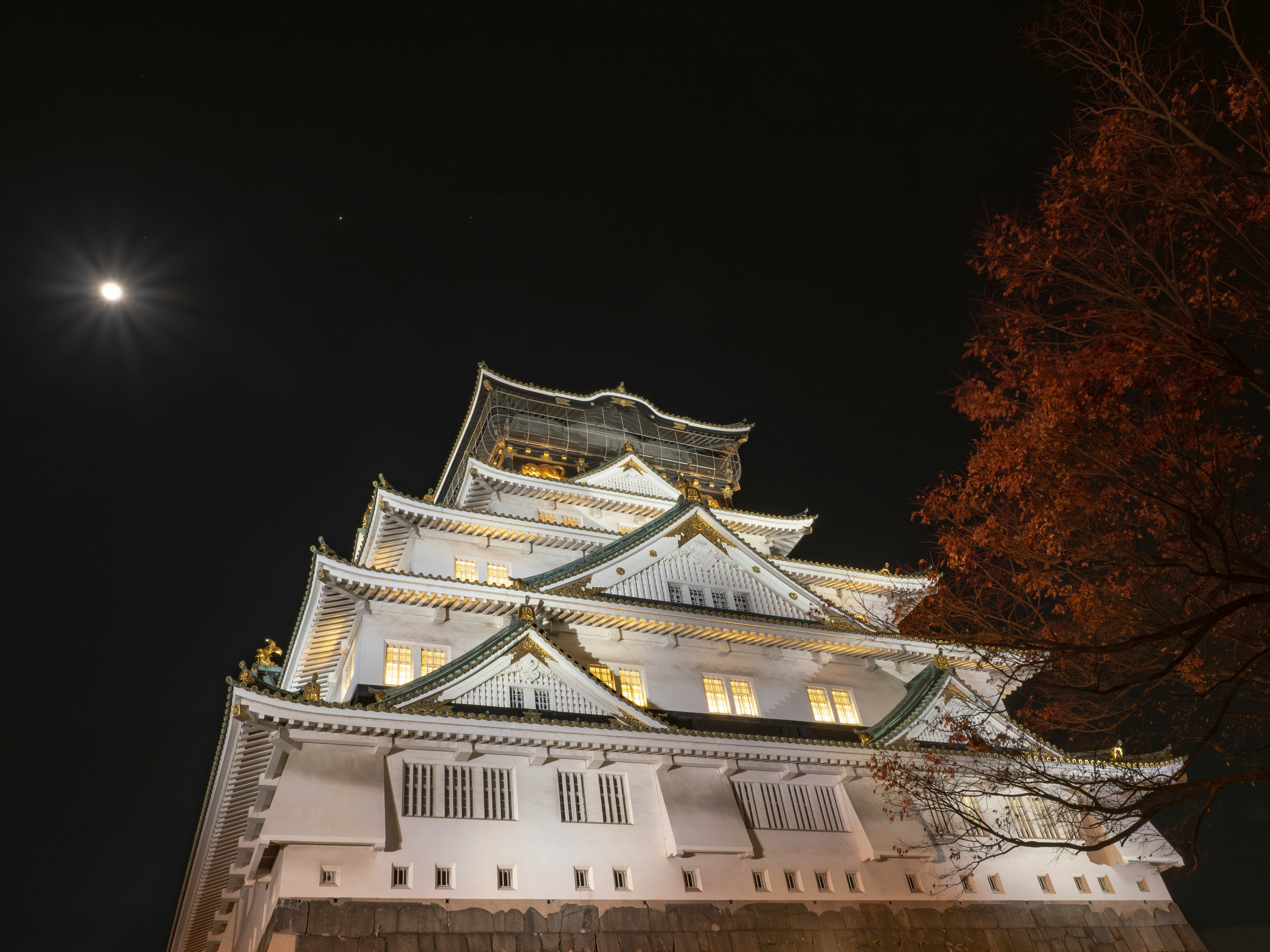 月夜にライトアップされた大阪城の天守と紅葉の木