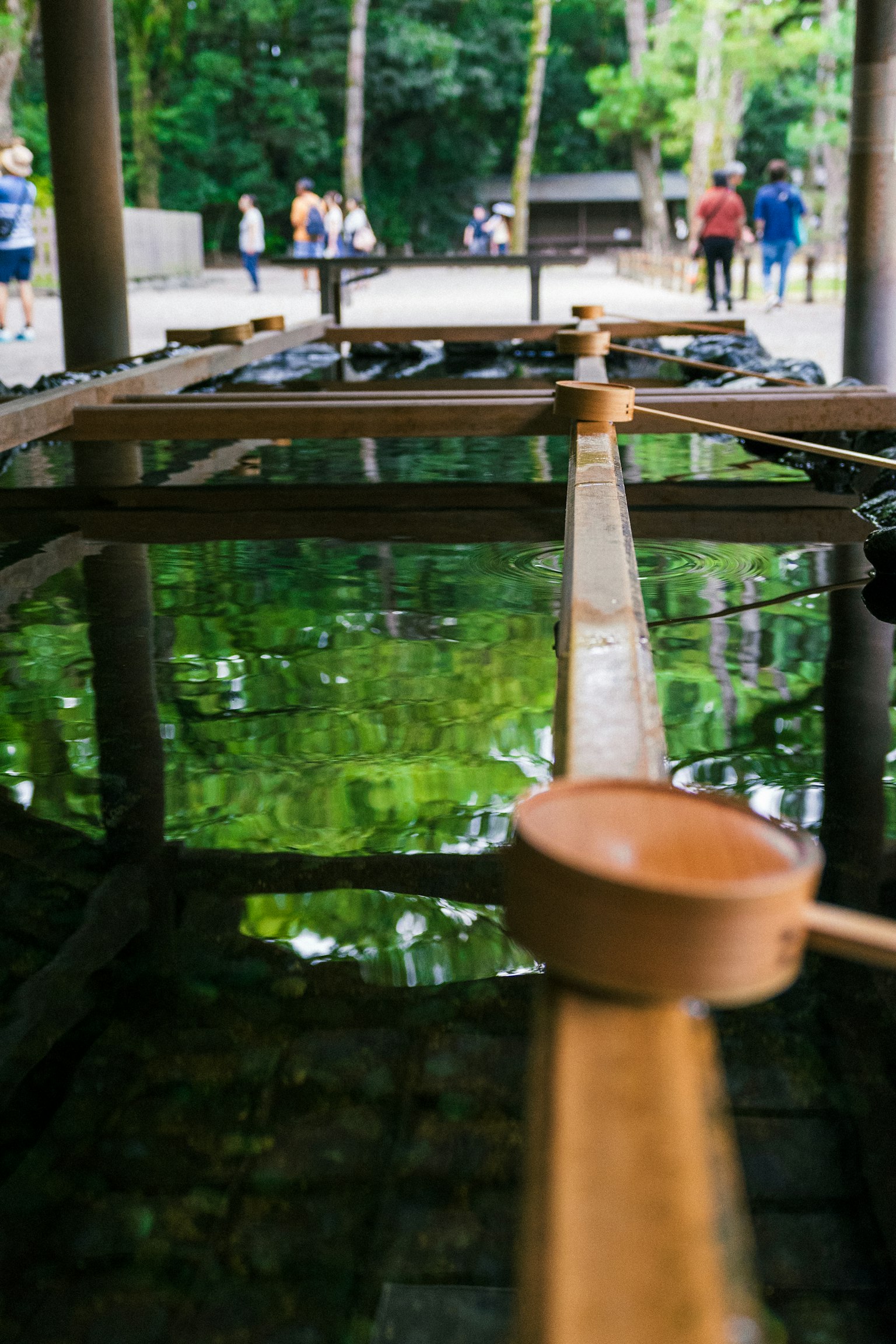 Bassin en bois reflétant de l'eau verte avec une louche au premier plan