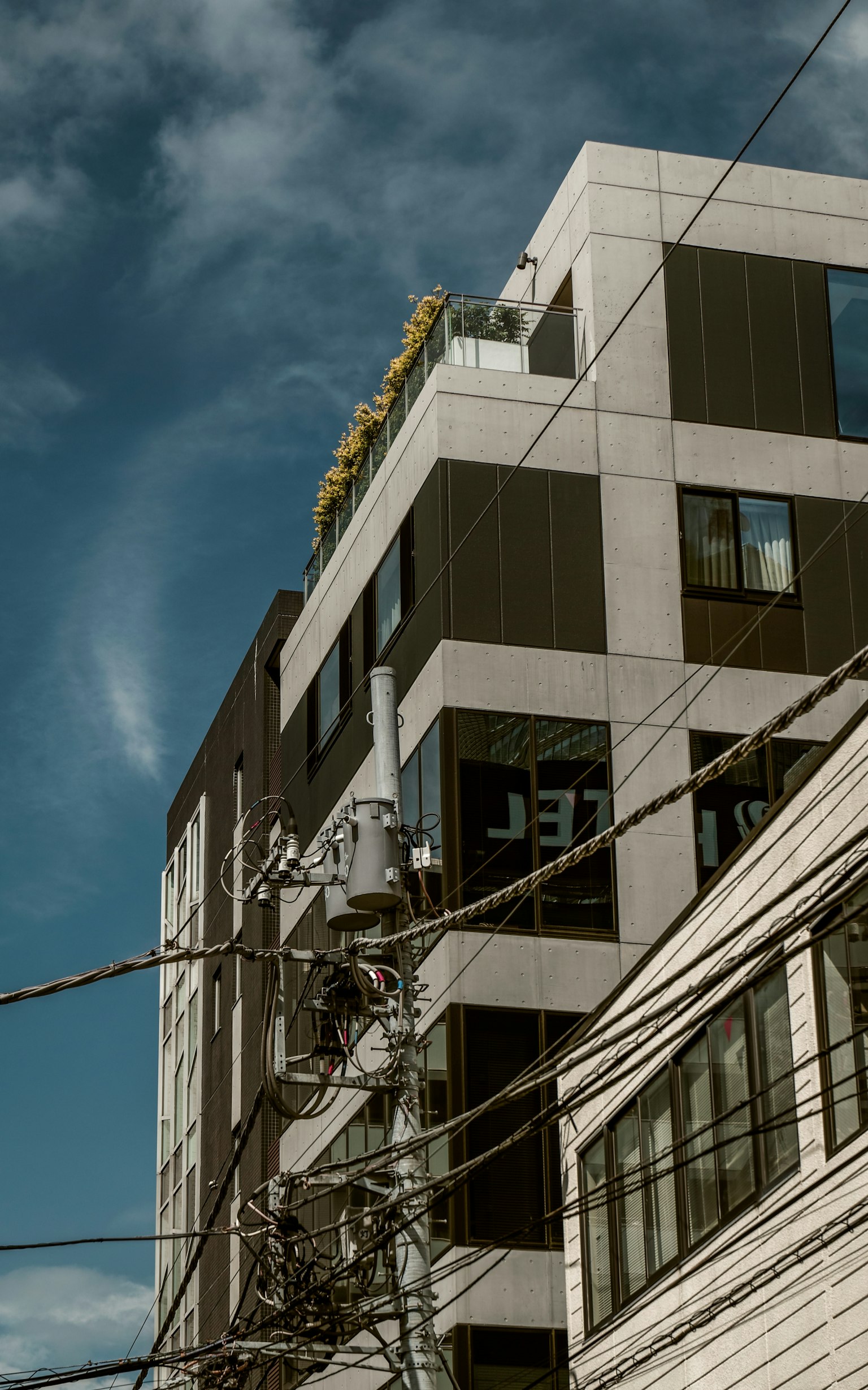 Escena urbana con un edificio de gran altura y vegetación en la parte superior con líneas eléctricas cruzadas