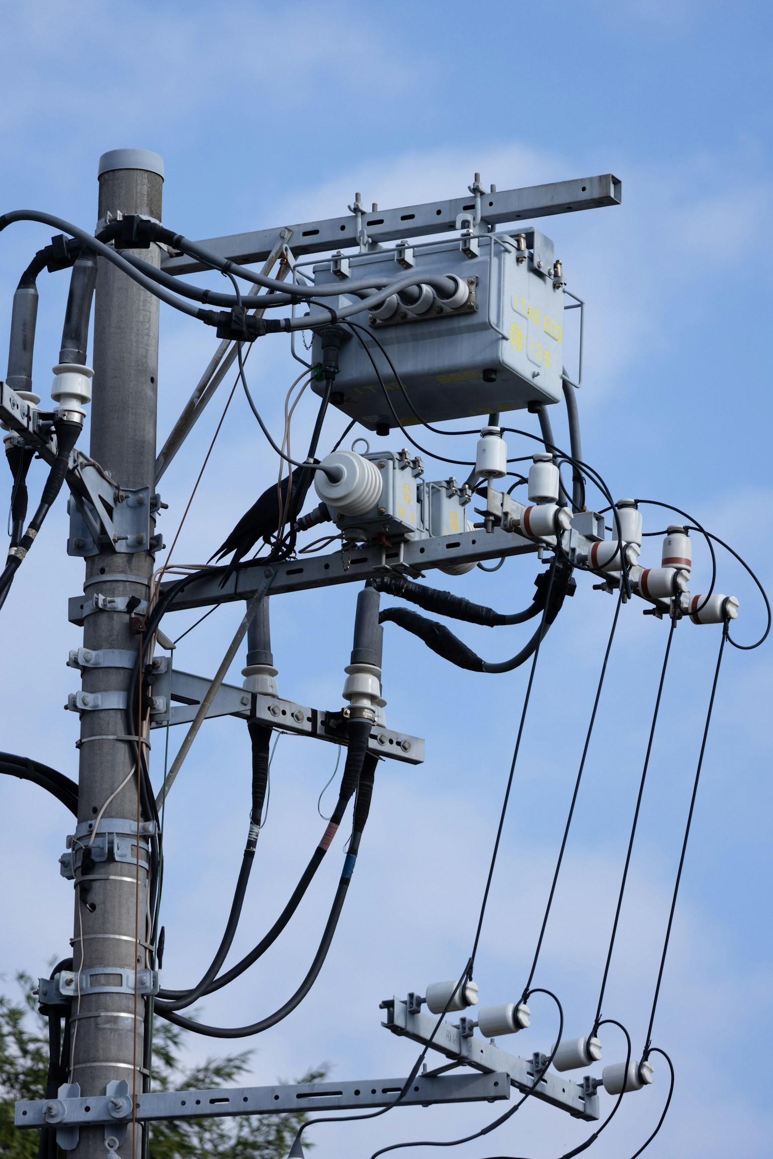 Vue détaillée des équipements électriques et du câblage sur un poteau électrique