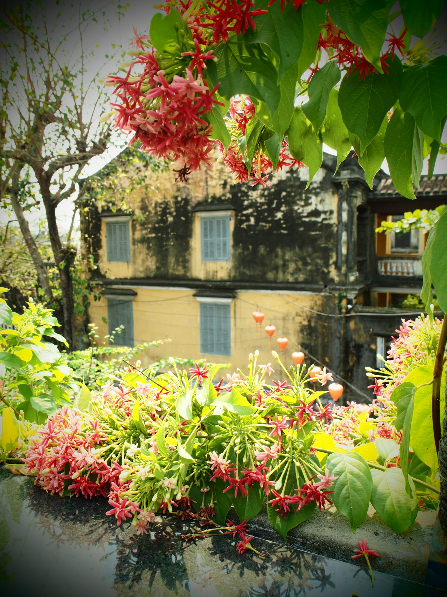Una escena vibrante con flores en flor que rodean una casa antigua