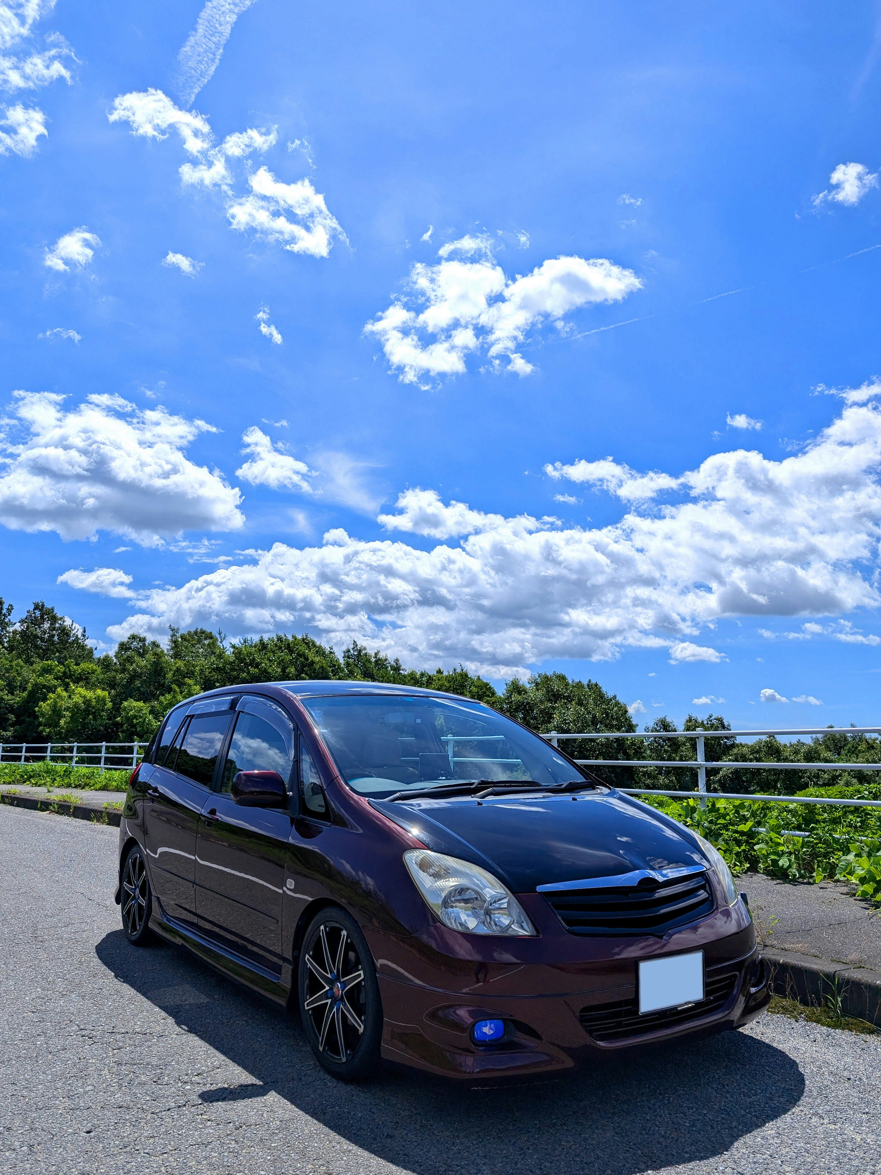 青空の下で道路沿いに停車した黒いミニバン