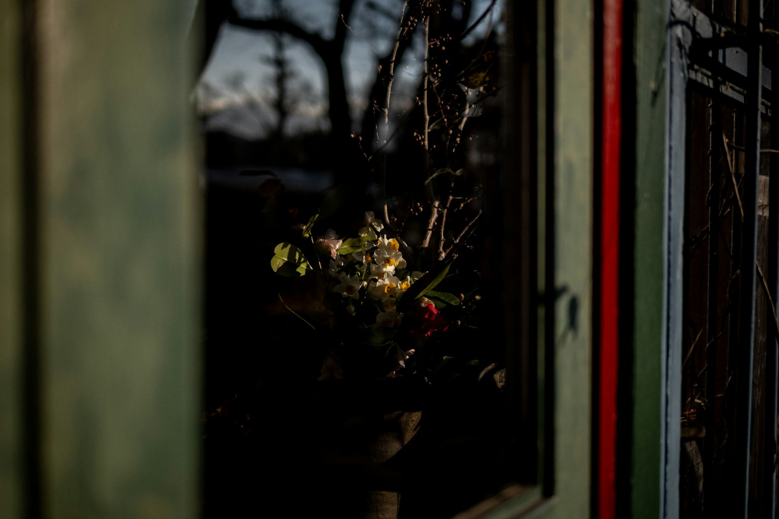 Cornice della finestra verde che rivela un vaso di fiori e alberi sullo sfondo