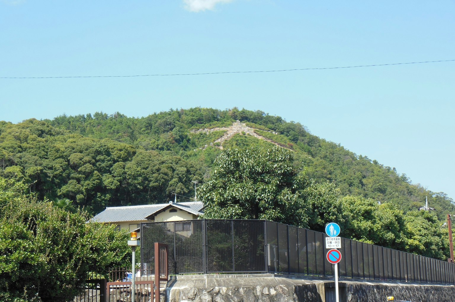 Pemandangan bukit hijau subur dengan rambu jalan di latar depan