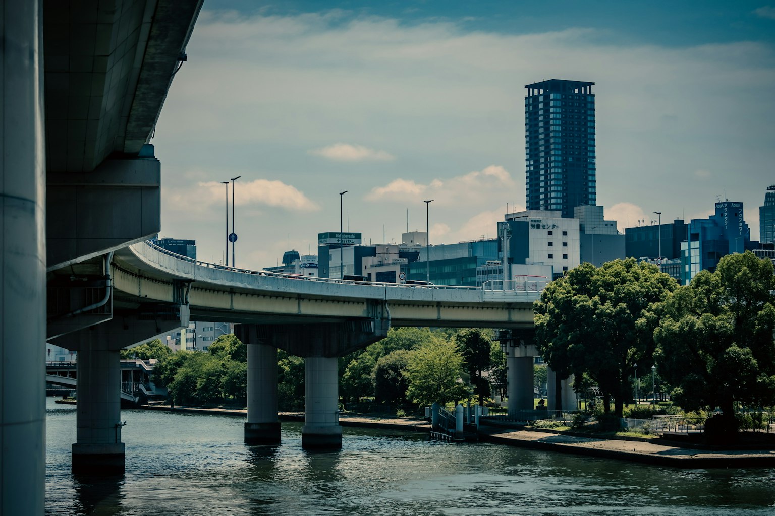 河流与桥梁及城市天际线的照片