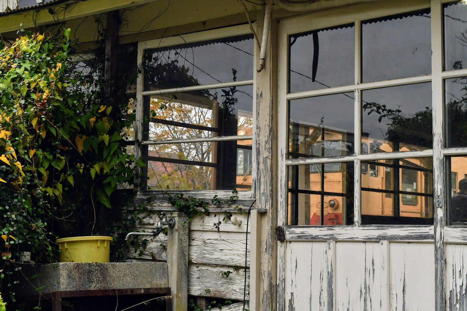 Part of a house featuring weathered wooden windows and surrounding plants