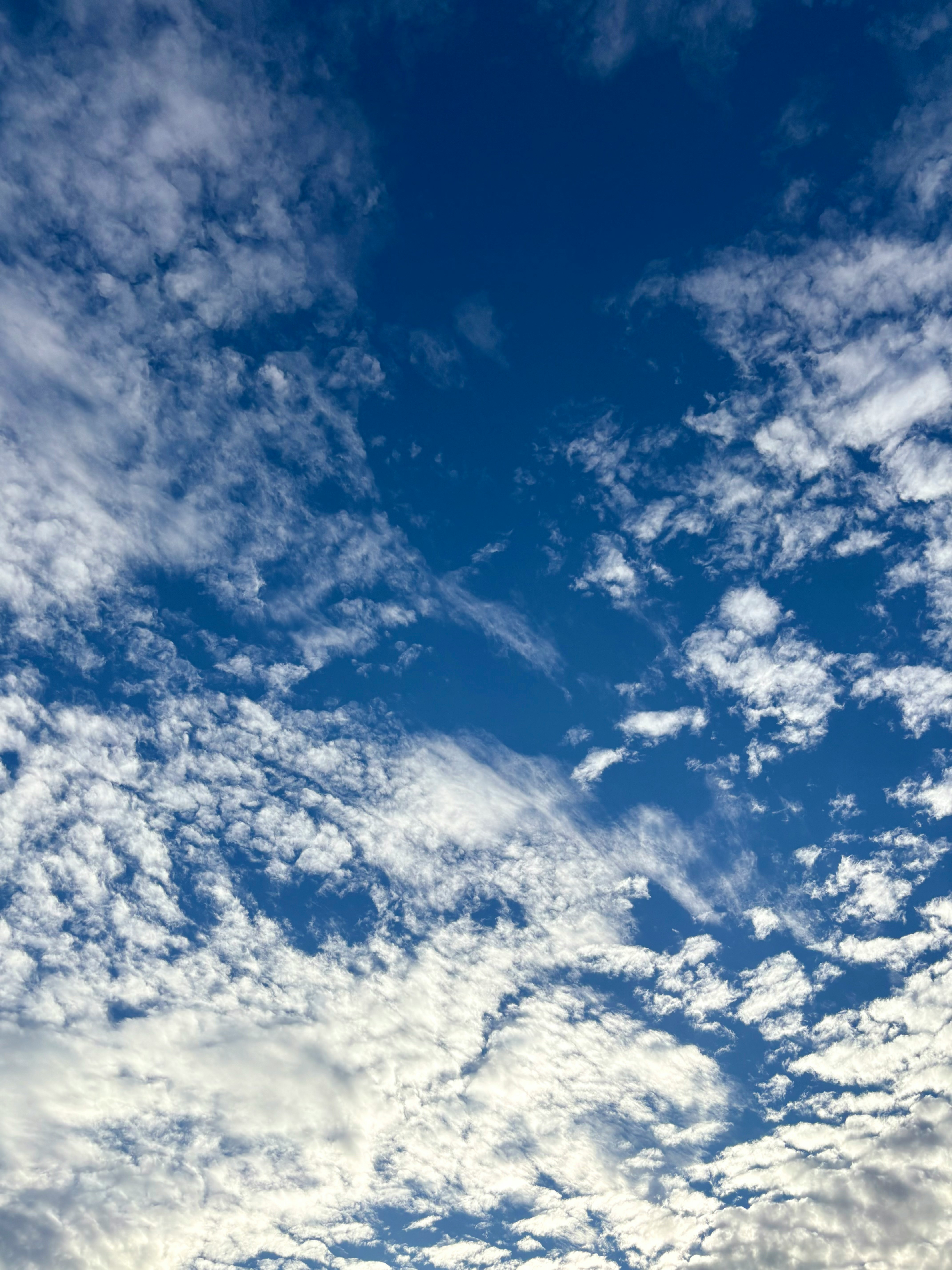 秋の空に広がる雲と青空の夕景