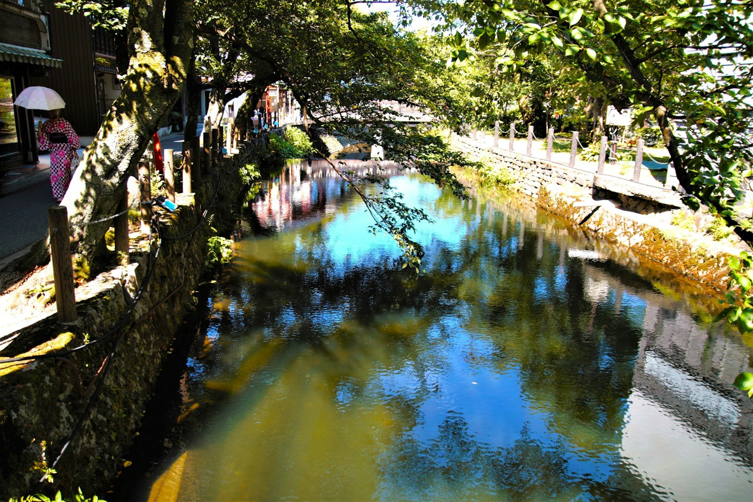 Pemandangan sungai yang tenang dengan refleksi pohon hijau
