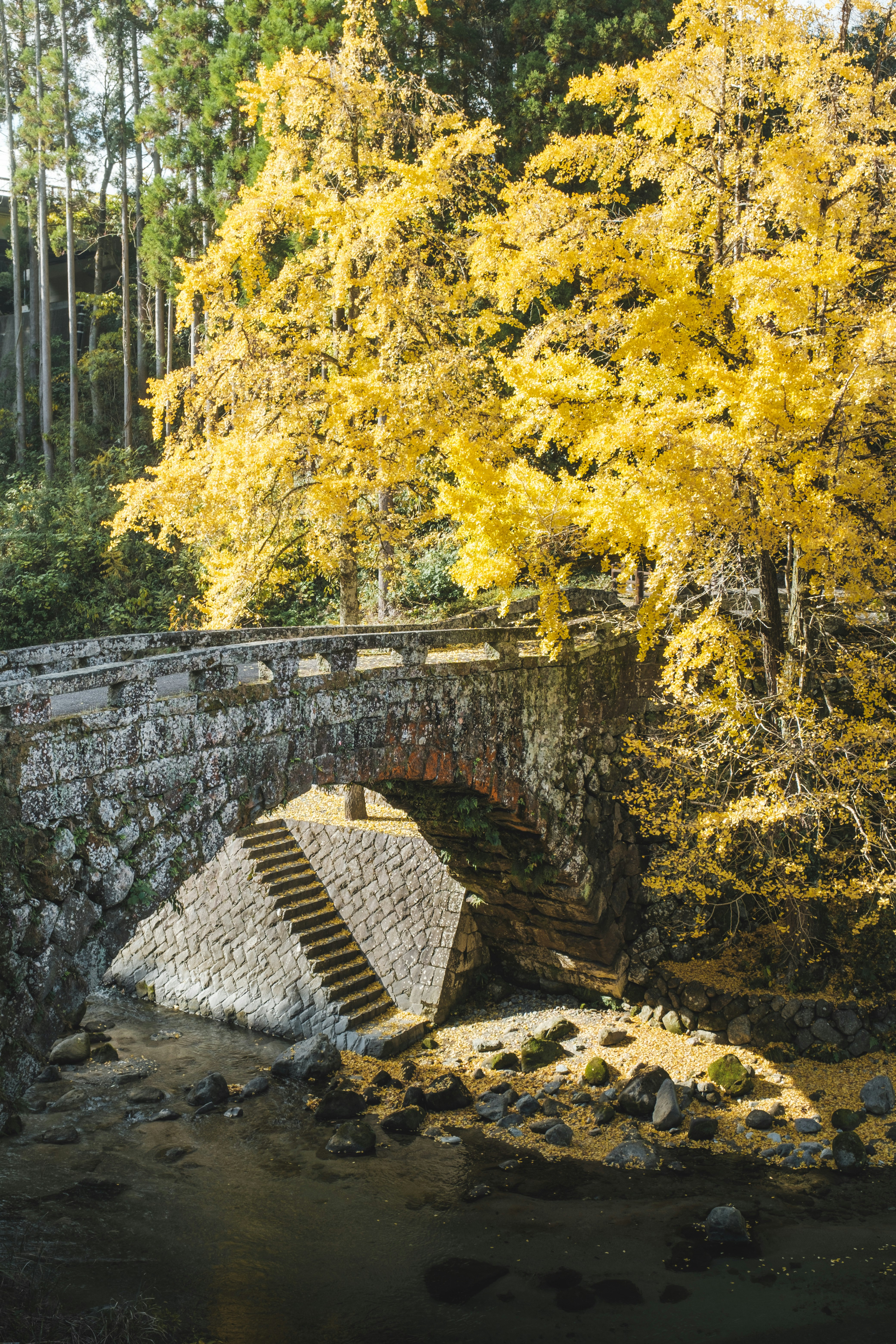 paysage de vallée avec feuillage d’automne jaune et petit pont en pierre
