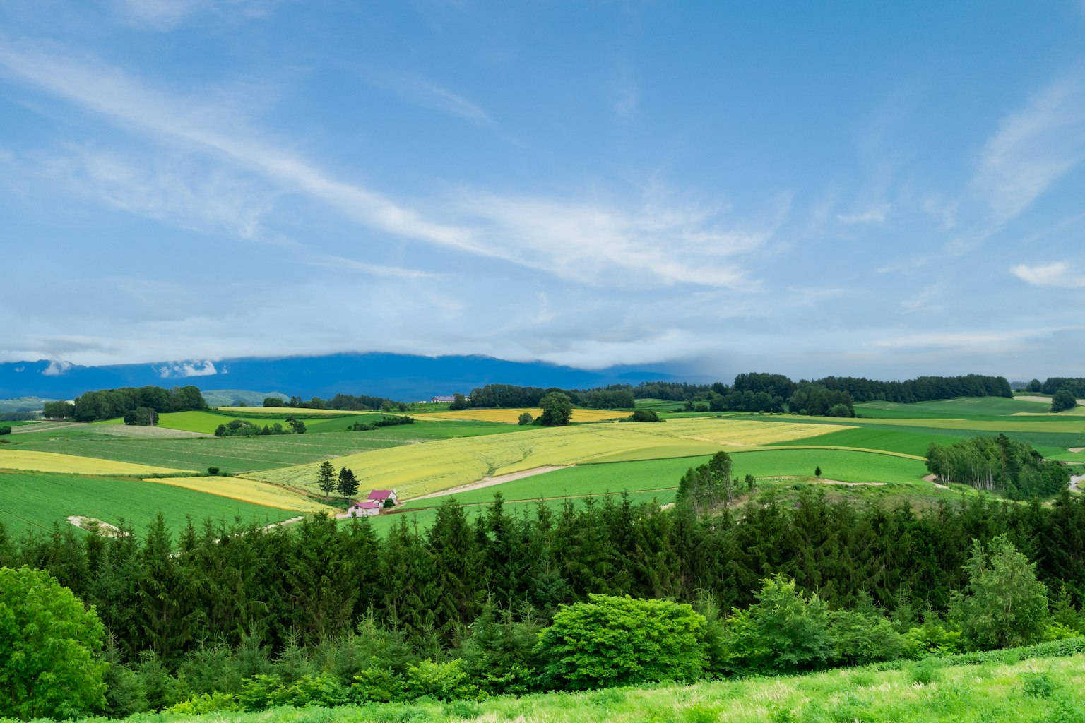Üppige grüne Landschaft mit blauem Himmel und Feldern
