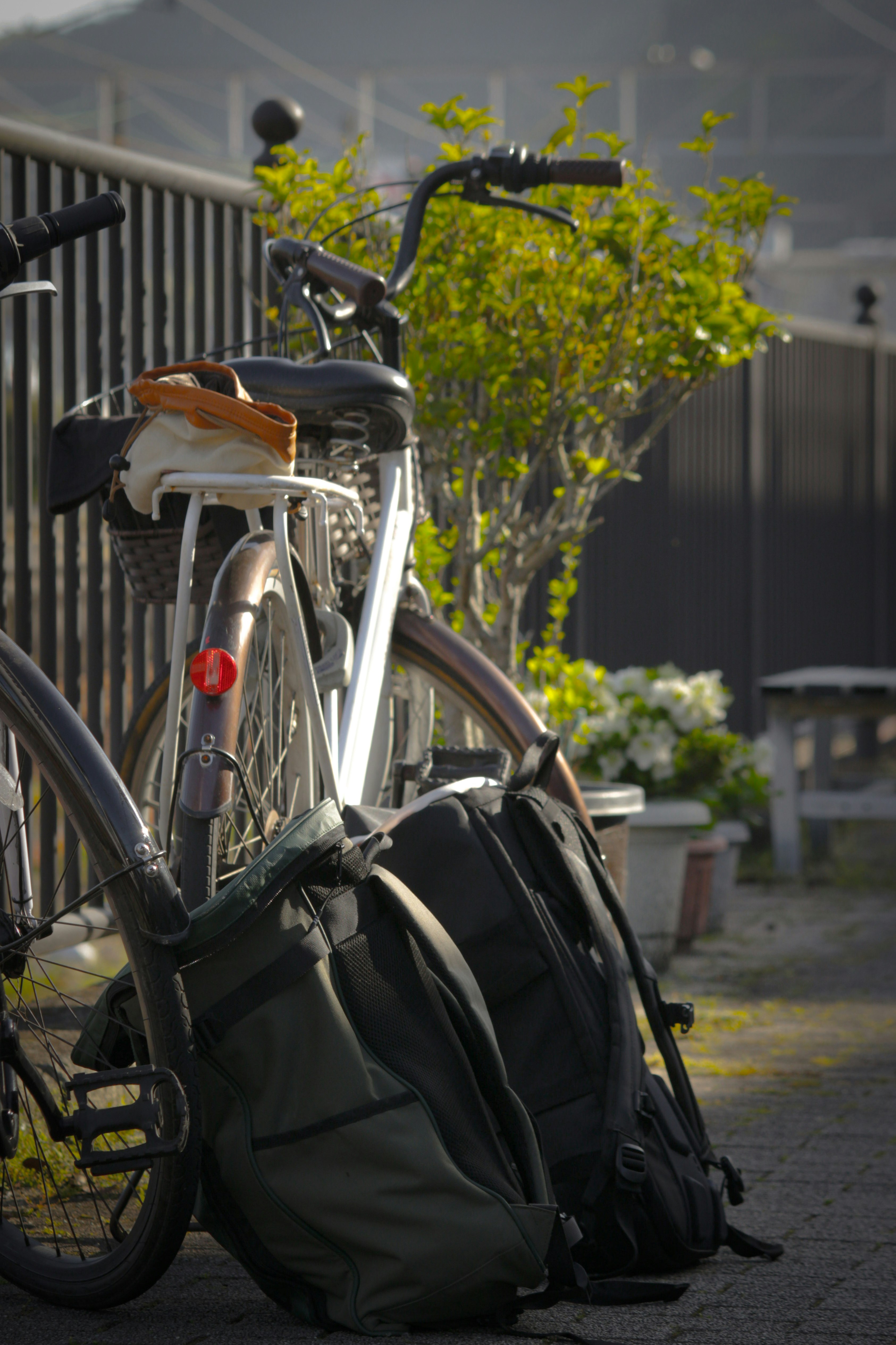 自転車とバックパックが並んでいる風景 緑の植物が背景にある