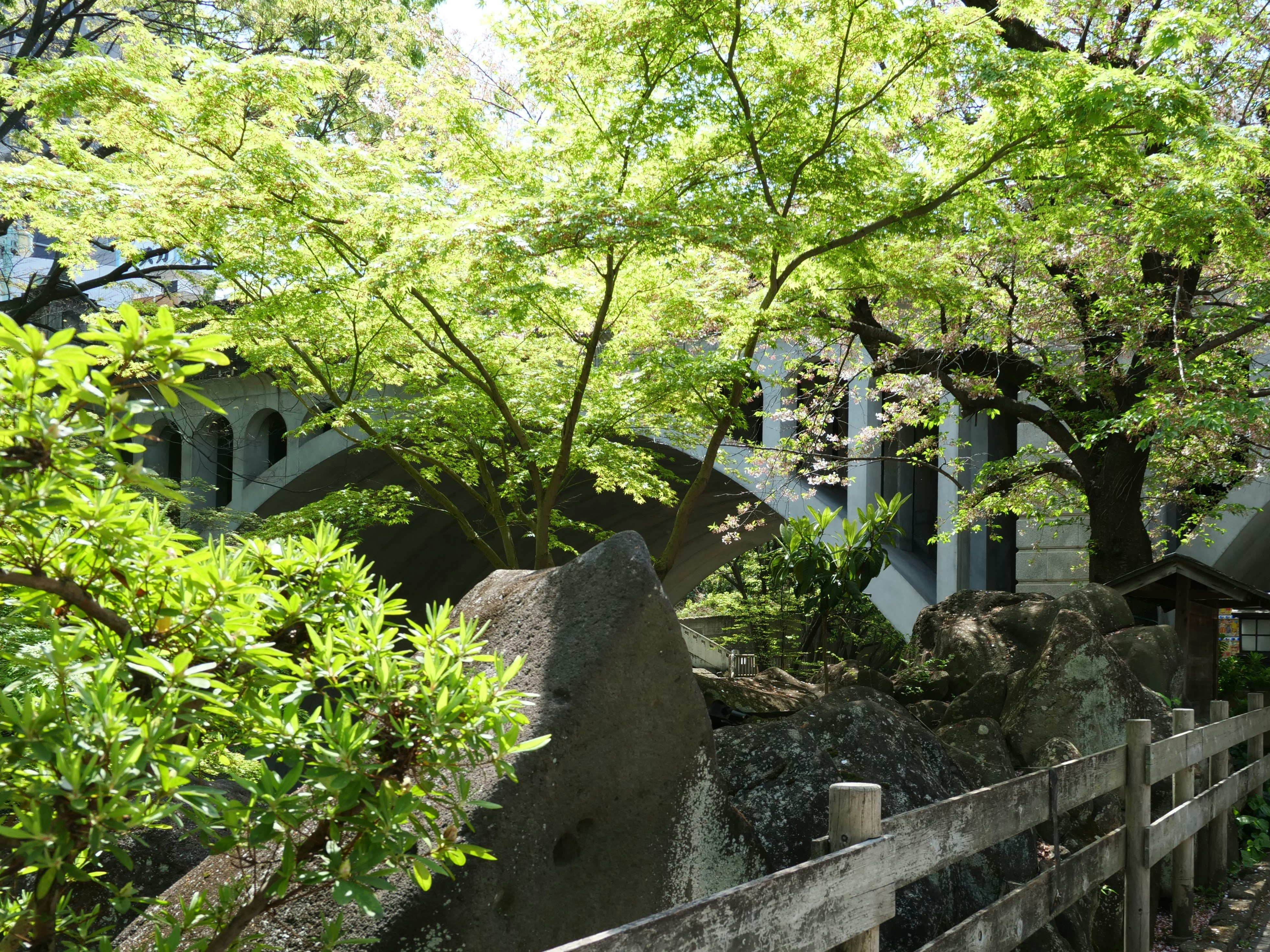 音無親水公園の春の緑に囲まれた石と木々の風景