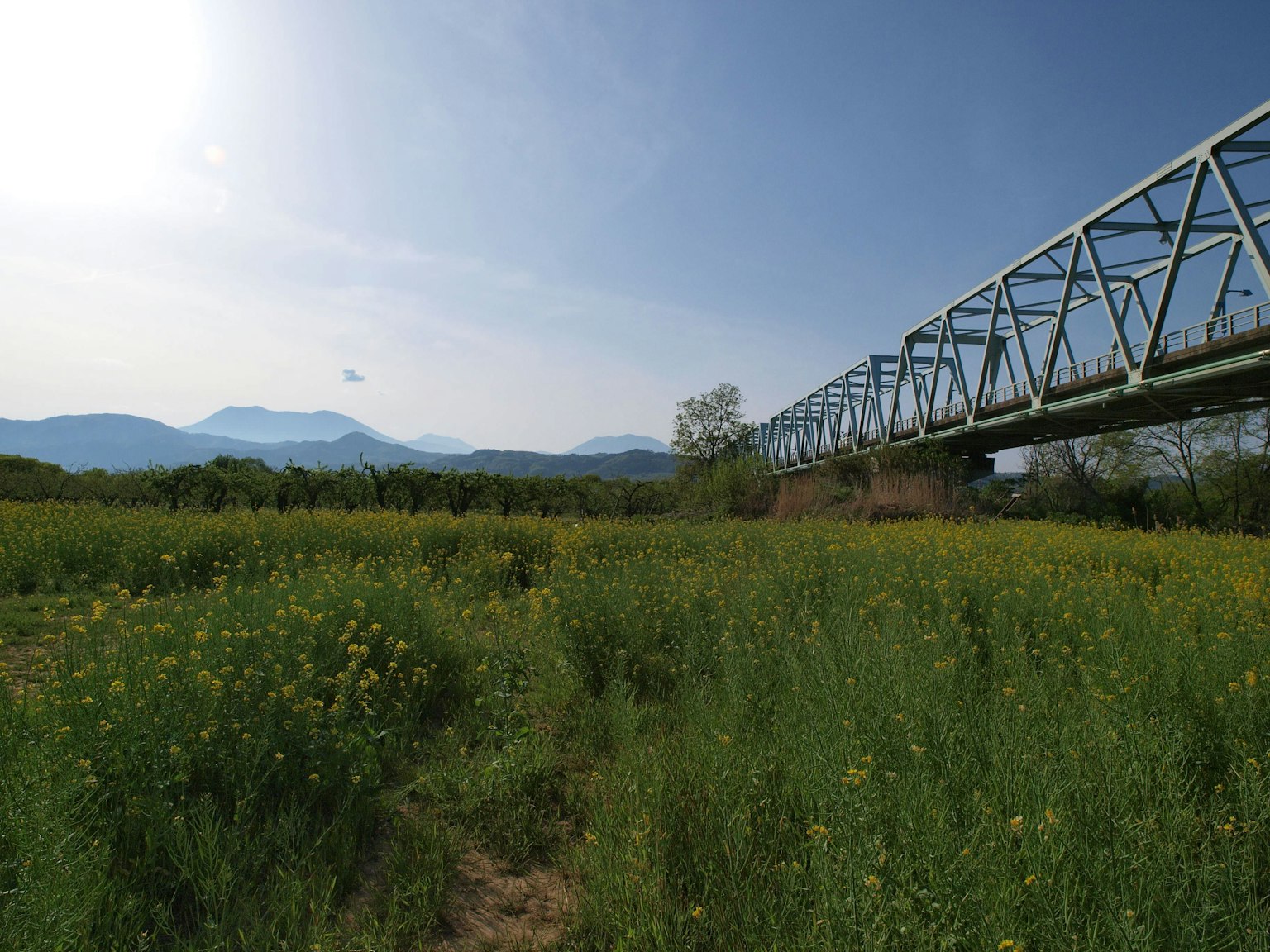 Un paesaggio con un prato verde e fiori gialli sotto un ponte di metallo