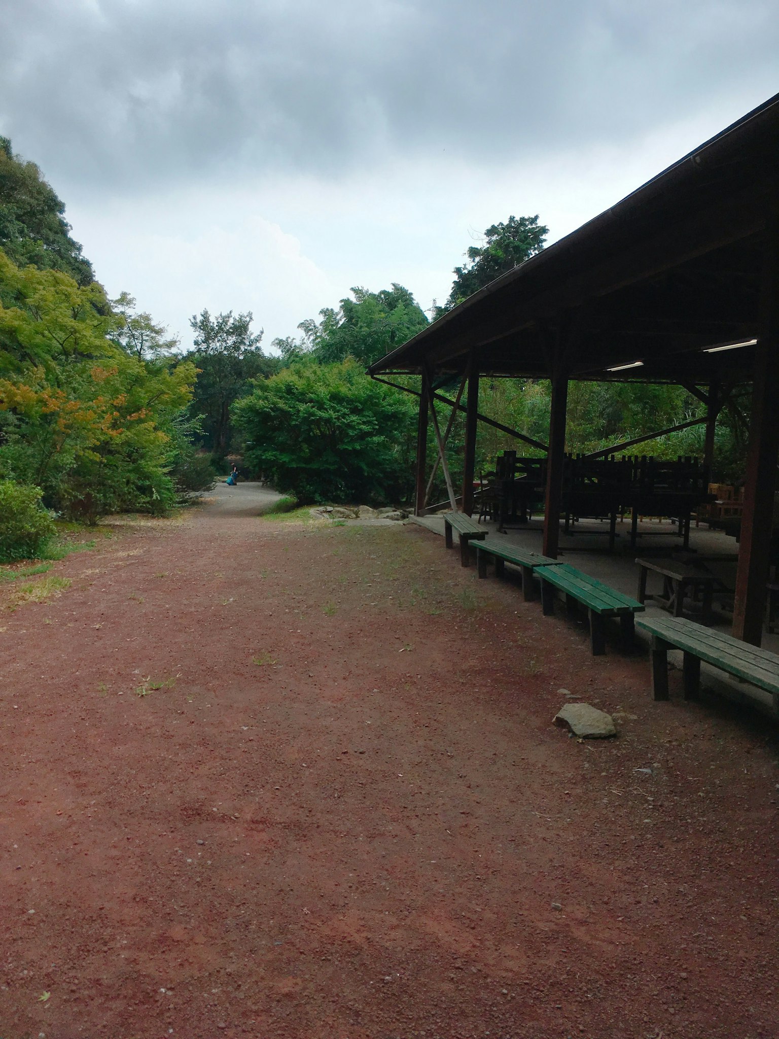 Un paisaje tranquilo con un camino verde y un área de descanso cubierta