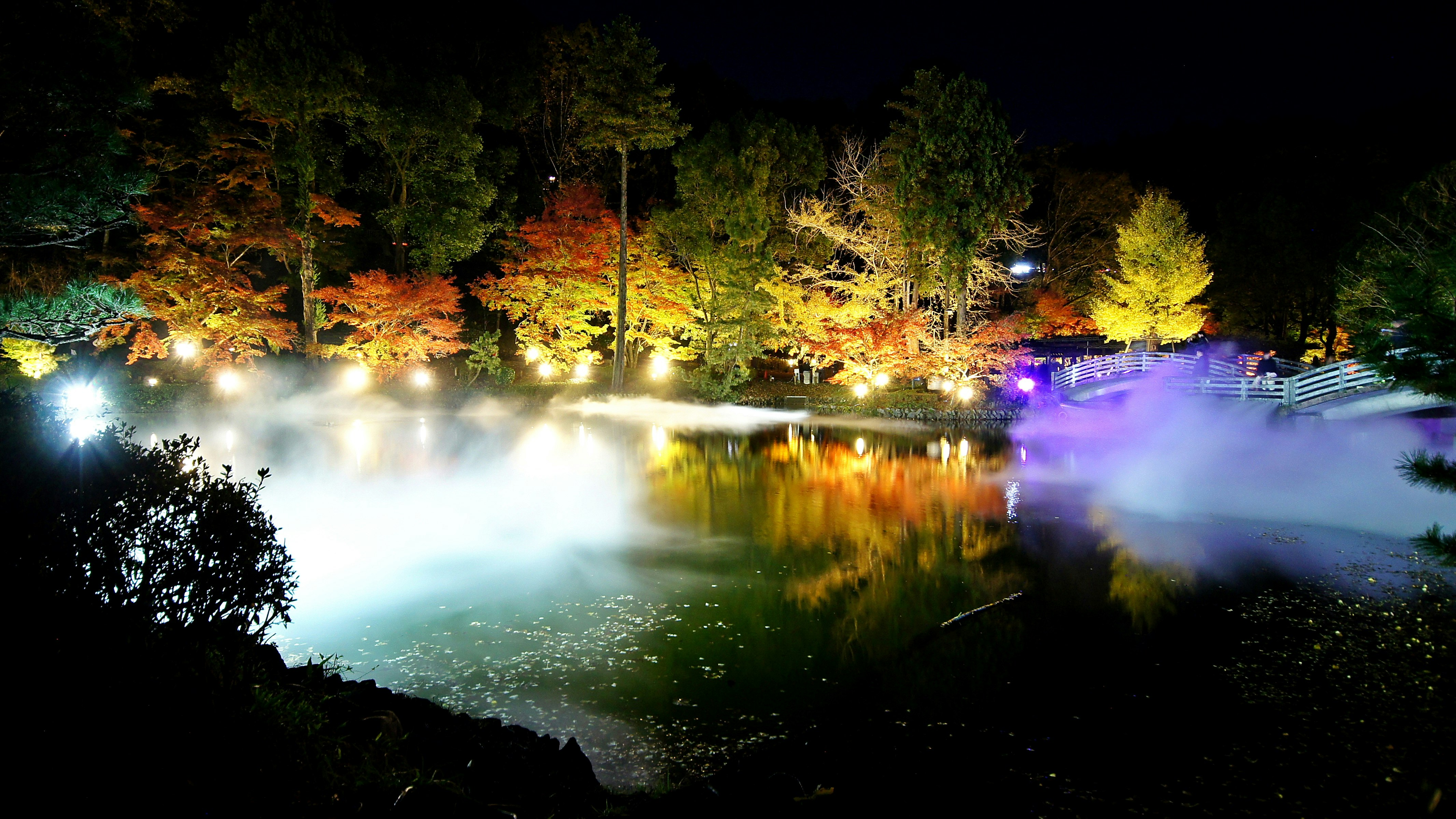 雲海と紅葉のライトアップされた池畔の夜景