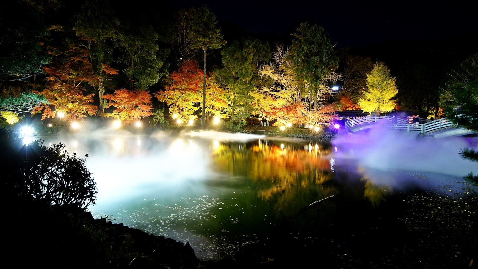 夜晚池塘的景象，五彩斑斕的樹木照亮