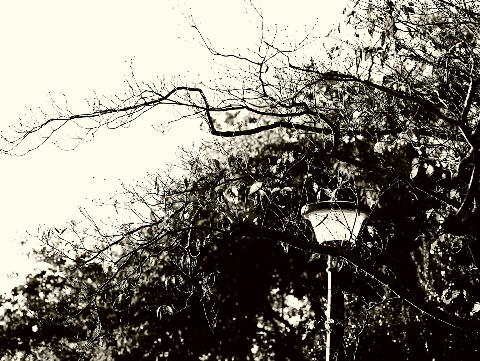 photo-Zjl5EiXCtGpN9DJIAJik-image