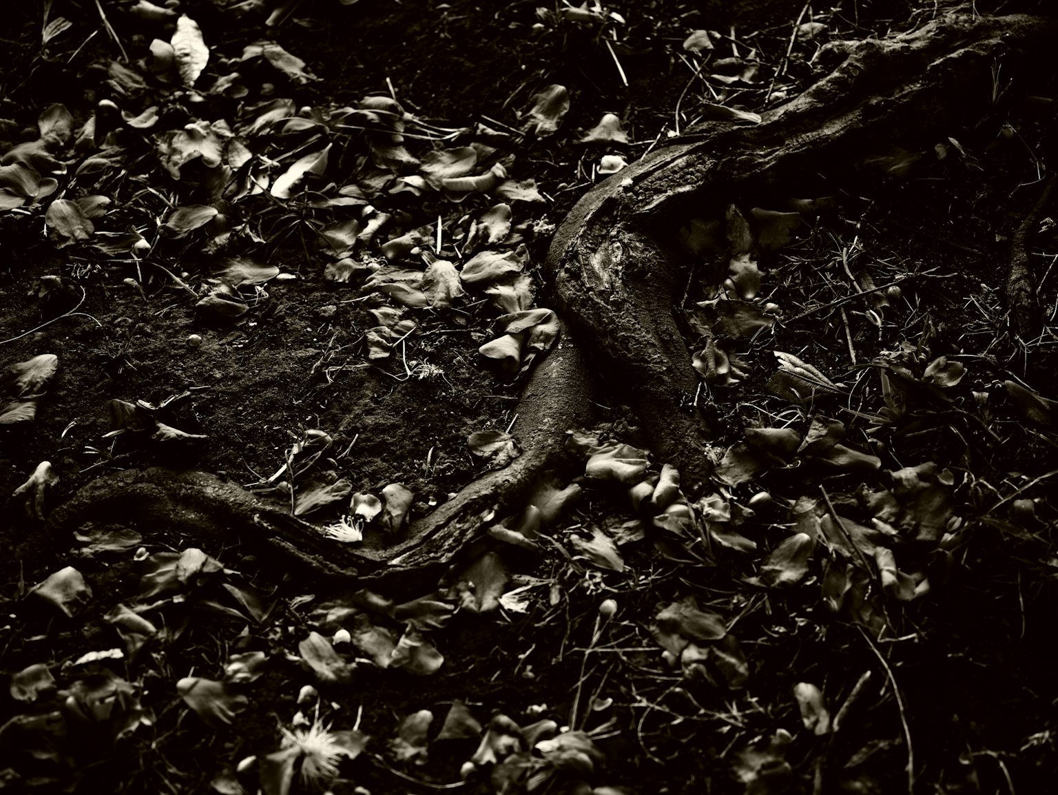 photo-ZkWiWJLKgFDIgNnGnPLU-image