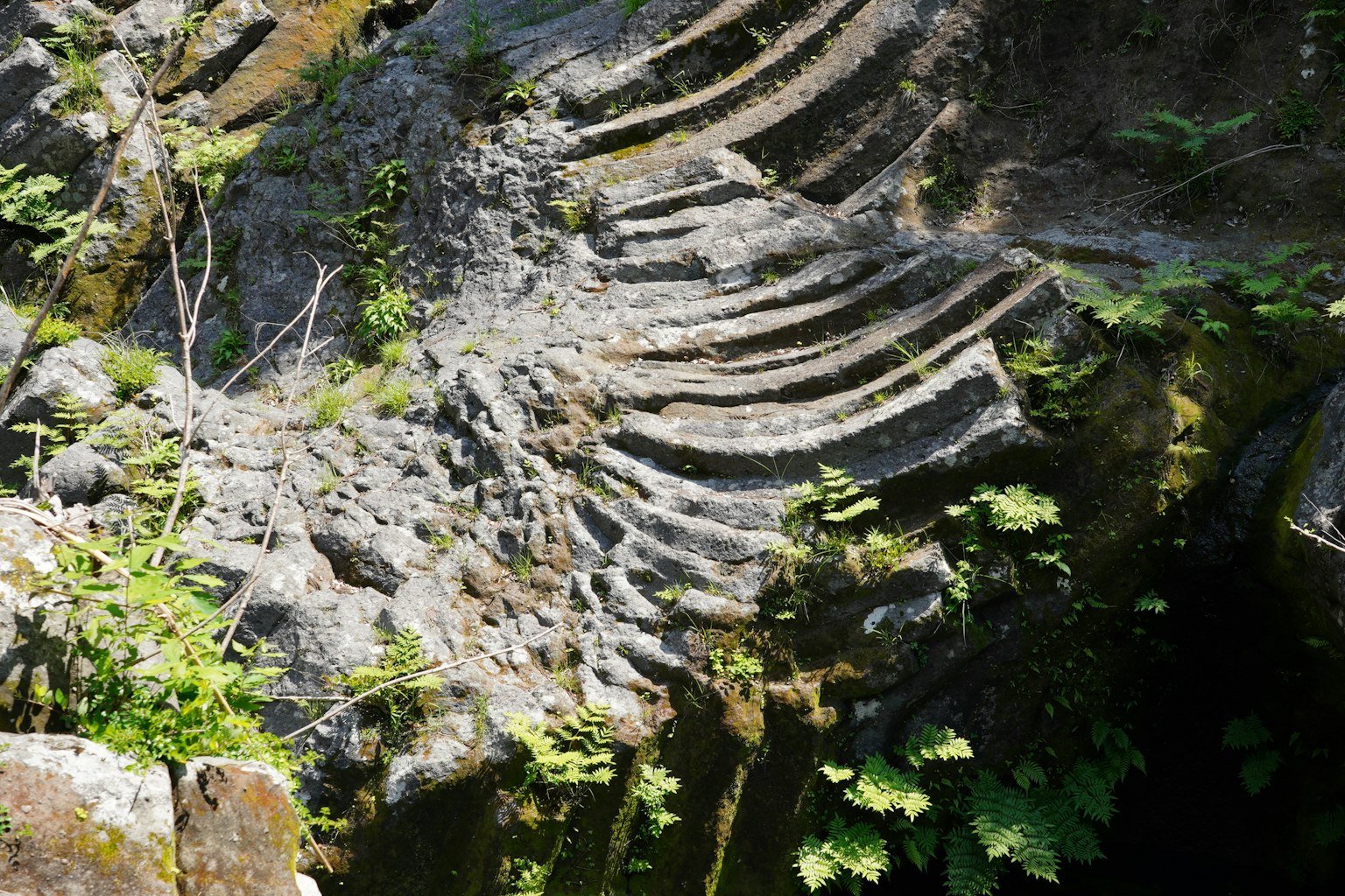 Wellenartige Muster in den Felsen mit grünem Laub