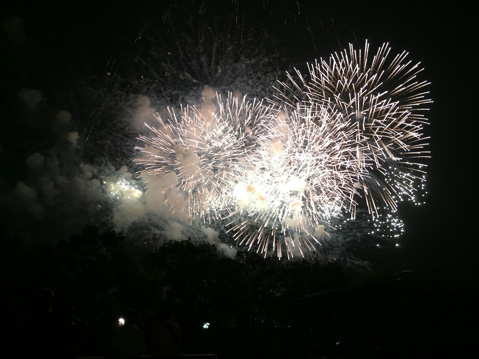 Large fireworks bursting in the night sky