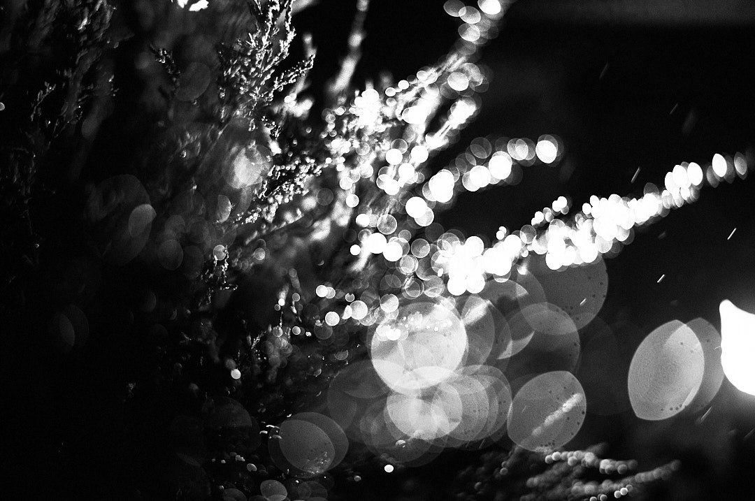 lumières bokeh nocturnes avec gouttelettes scintillantes et éclaboussures
