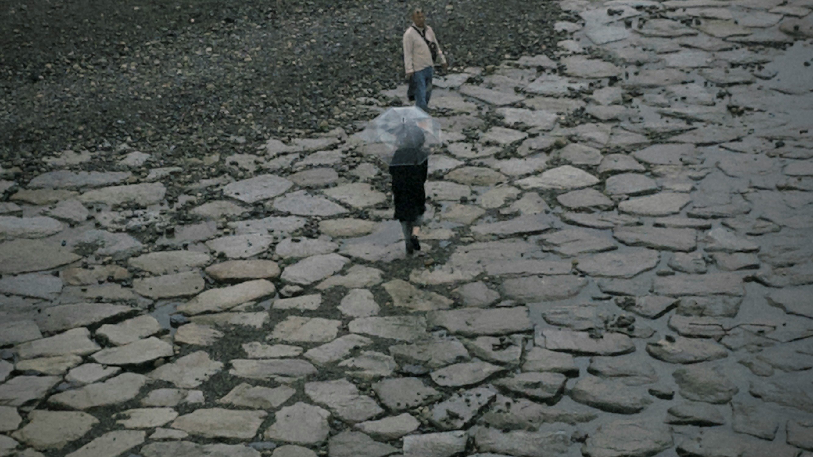 石畳の路面を歩く人の後ろ姿