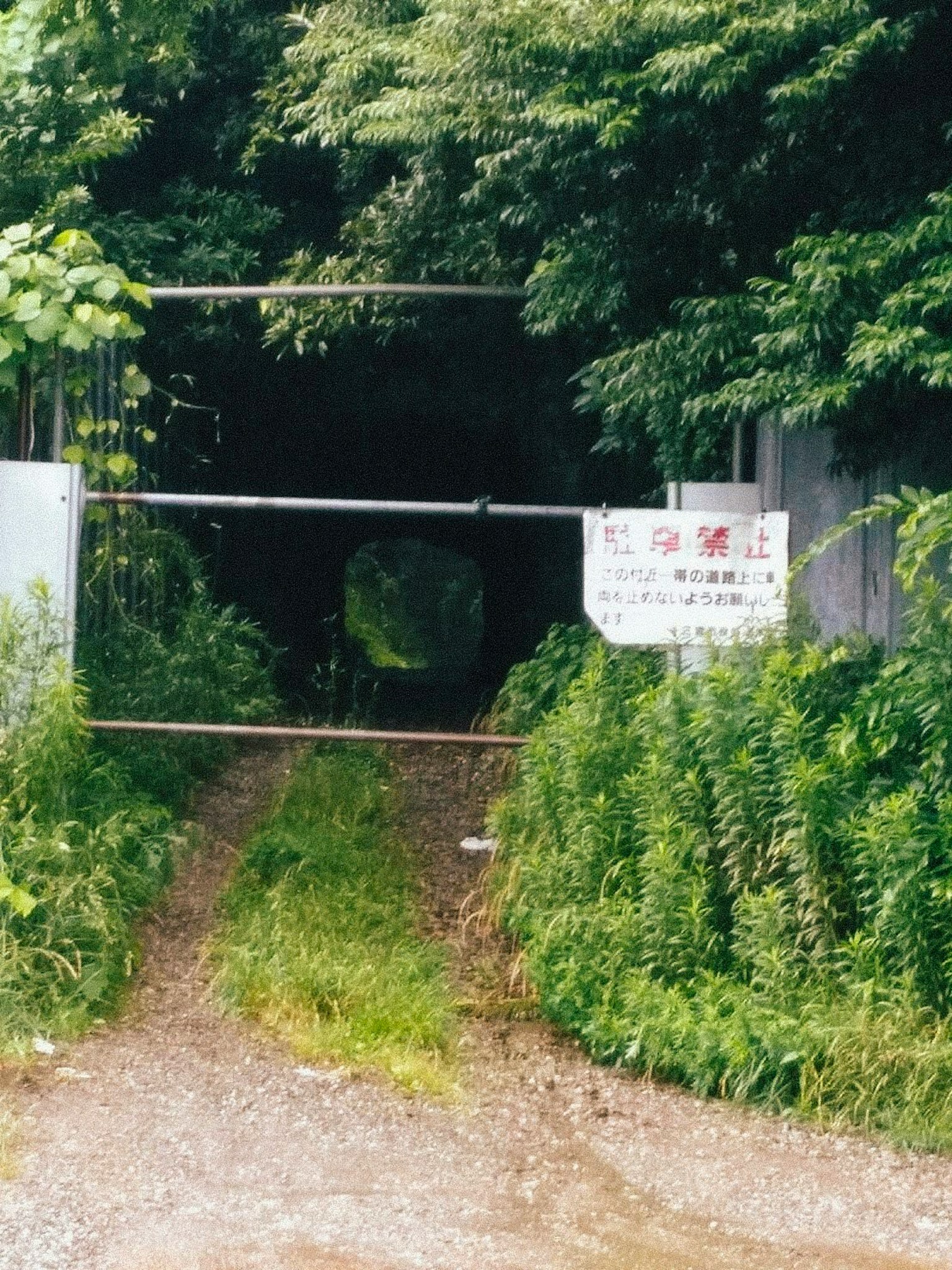 Geschlossener Eingang umgeben von Grün mit Warnschild