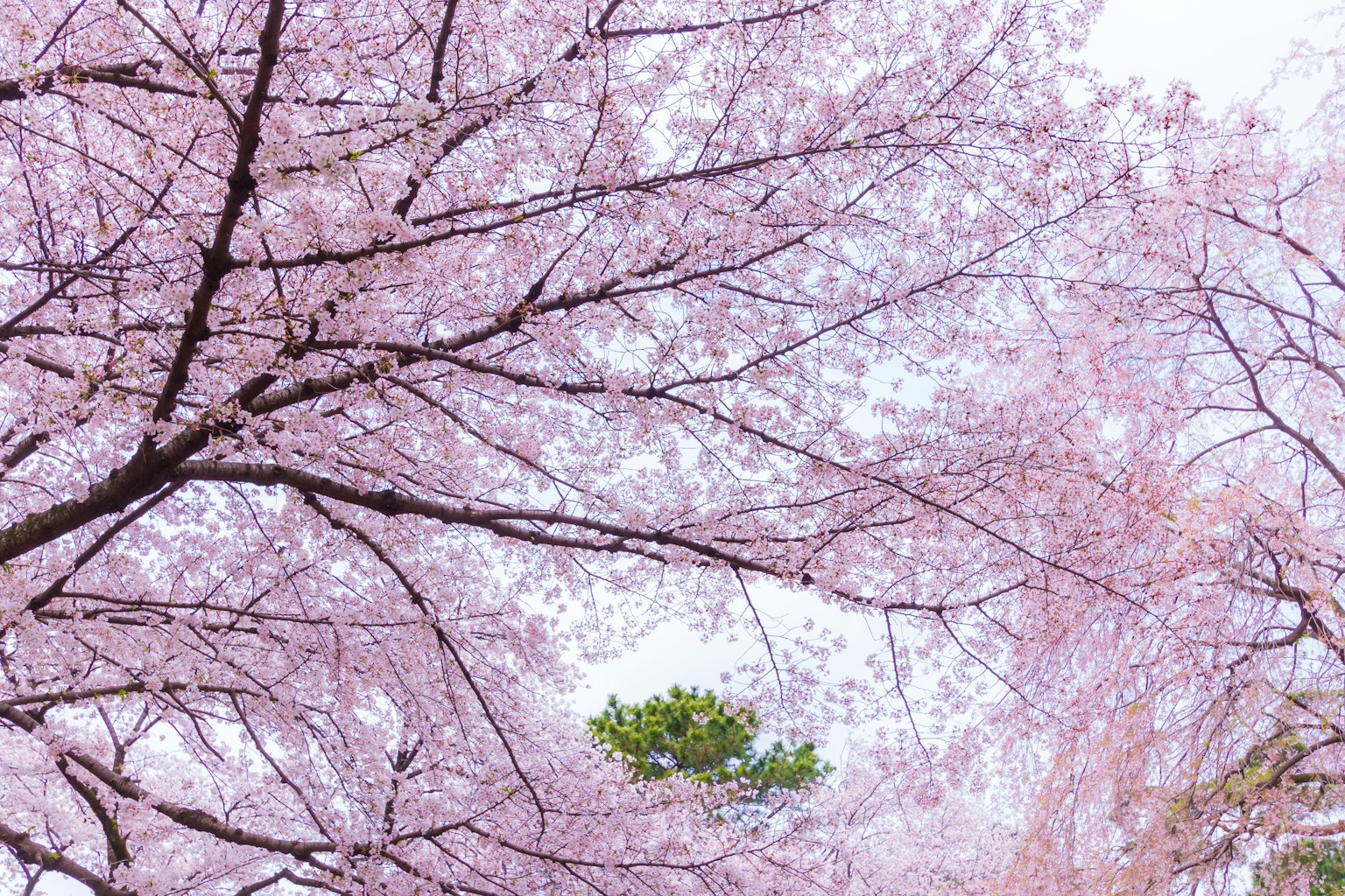 photo-Zmv9uEcNsybeTFjjwjnh-image