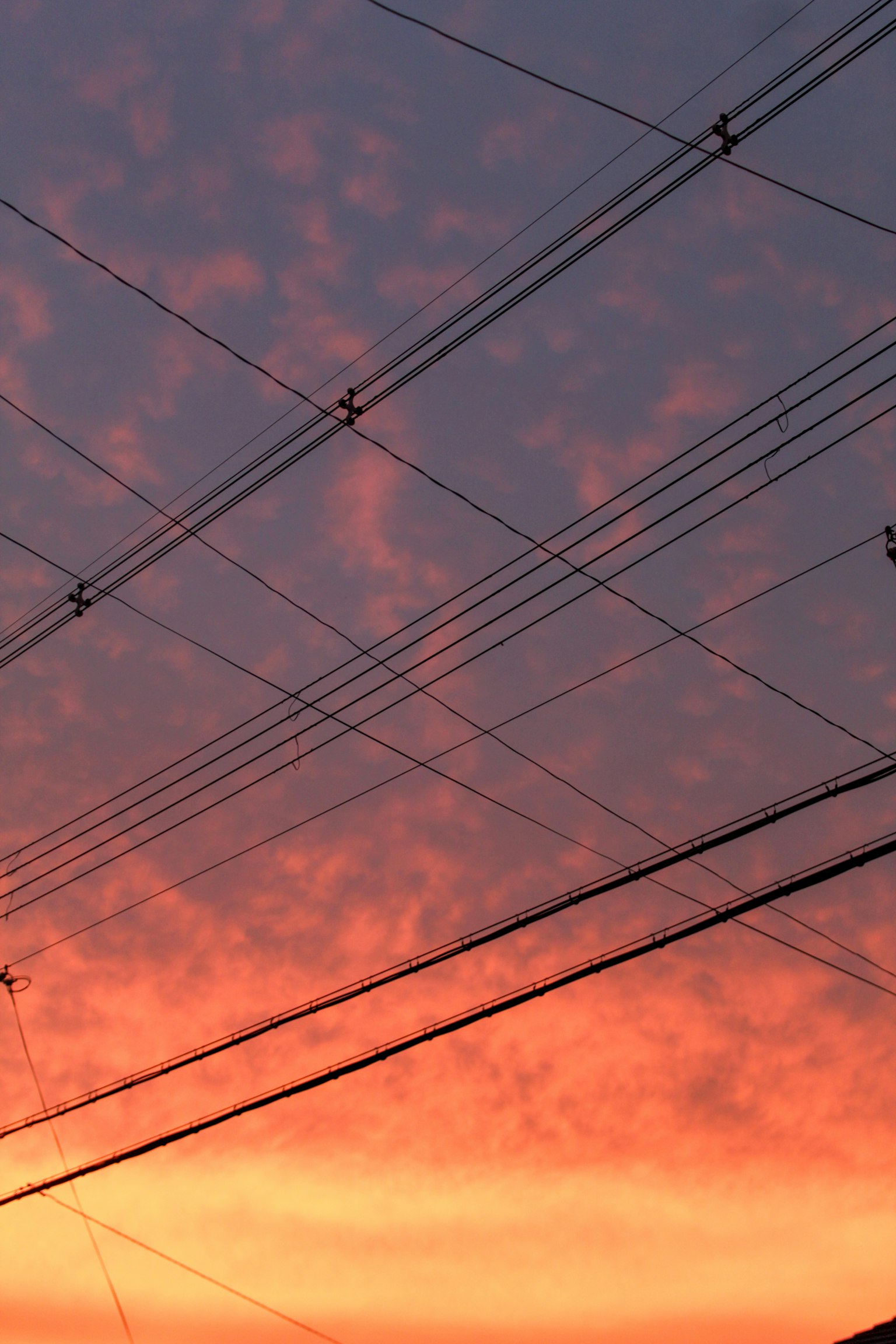 Schöner Sonnenuntergangshimmel mit sich kreuzenden Stromleitungen